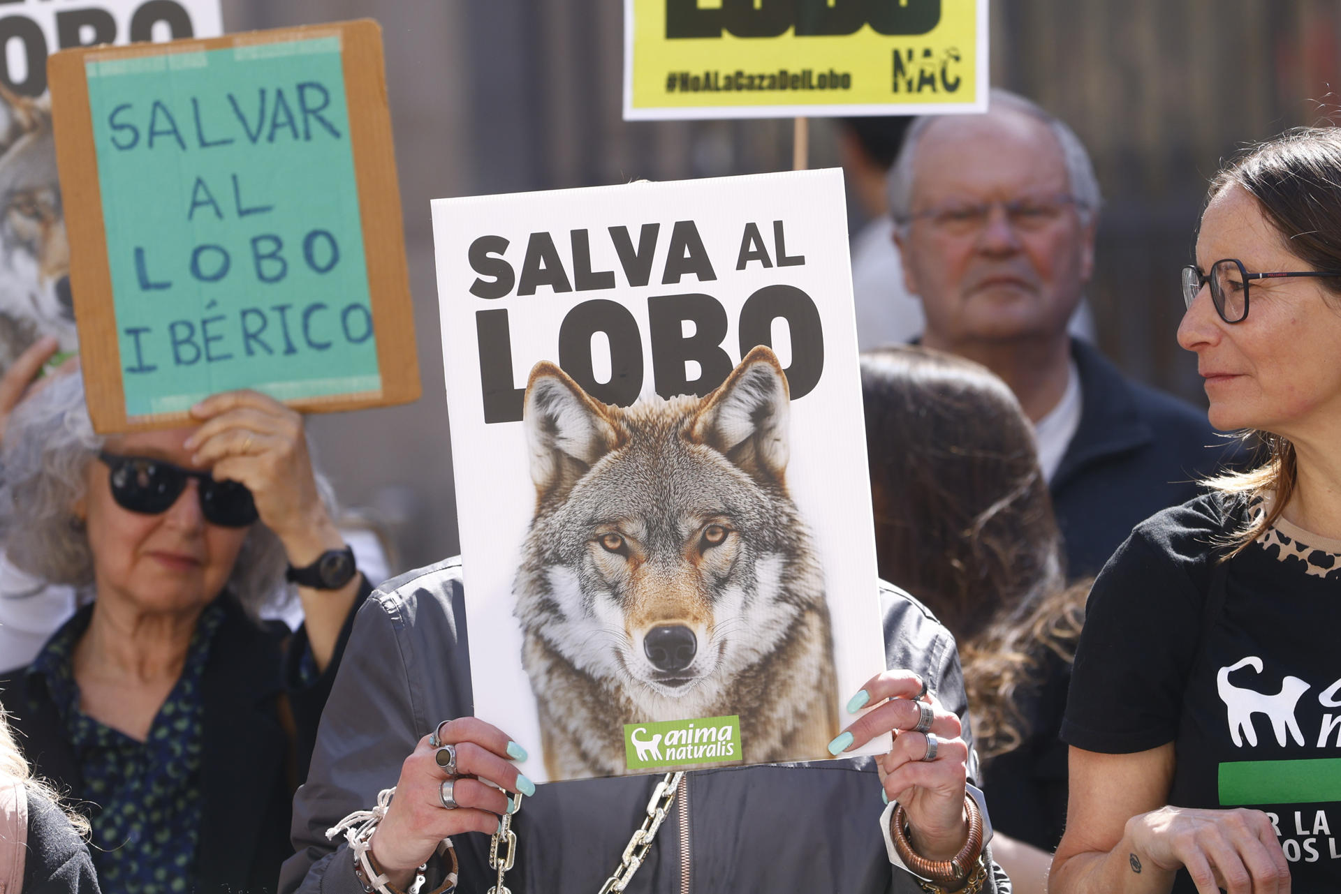 Aspecto de la concentración en Barcelona en protesta por la desprotección del lobo ibérico. EFE/Quique García