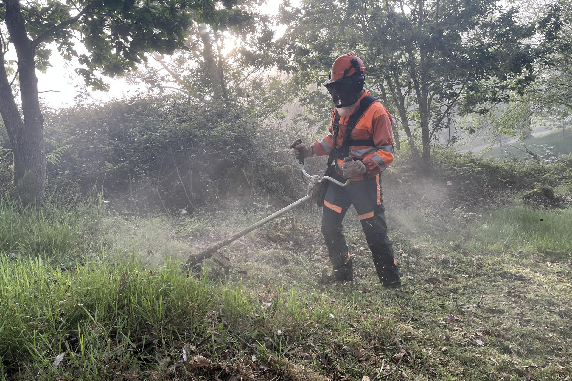 Un bombero forestal, durante las labores de desbroce para la prevención de incendios, ayer viernes 25 de abril. Cantabria ha superado los meses más críticos -de noviembre a abril- en incendios forestales, el "99 por ciento" de ellos intencionados por la creencia de que el fuego regenera el pasto y avivados por el viento del sur, con un balance provisional de 392 incendios y 2.800 hectáreas quemadas en lo que va de 2025 EFE/ Pablo G. Hermida