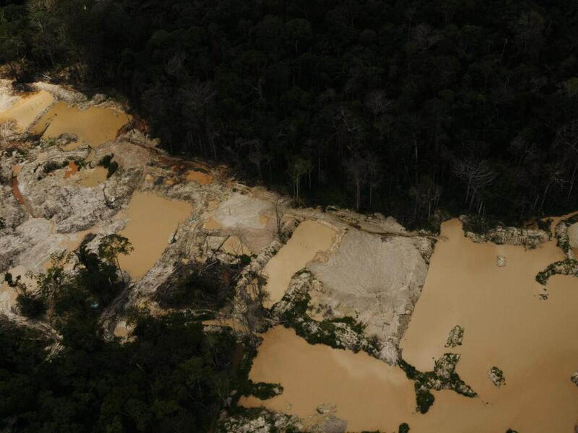 Fotografía facilitada por Greenpeace que ha publicado hoy un informe que indica que la minería ilegal del oro prolifera en la selva amazónica en donde esta actividad ha destruido 4.219 hectáreas entre 2023 y 2024, lo que equivale a unos 4.000 campos de fútbol en los territorios indígenas Yanomami, Munduruku, Kayapó y Sararé. EFE