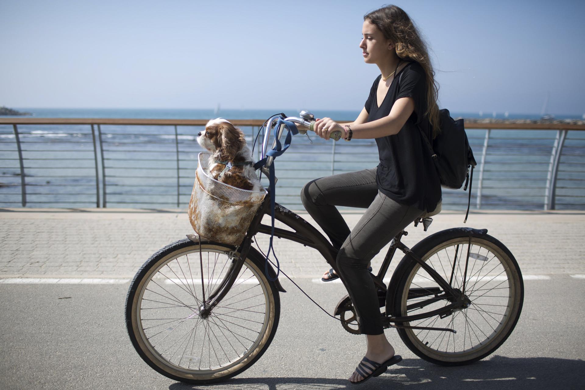Una mujer pasea en bici con su perro en una imagen de archivo. EFE/Abir Sultan