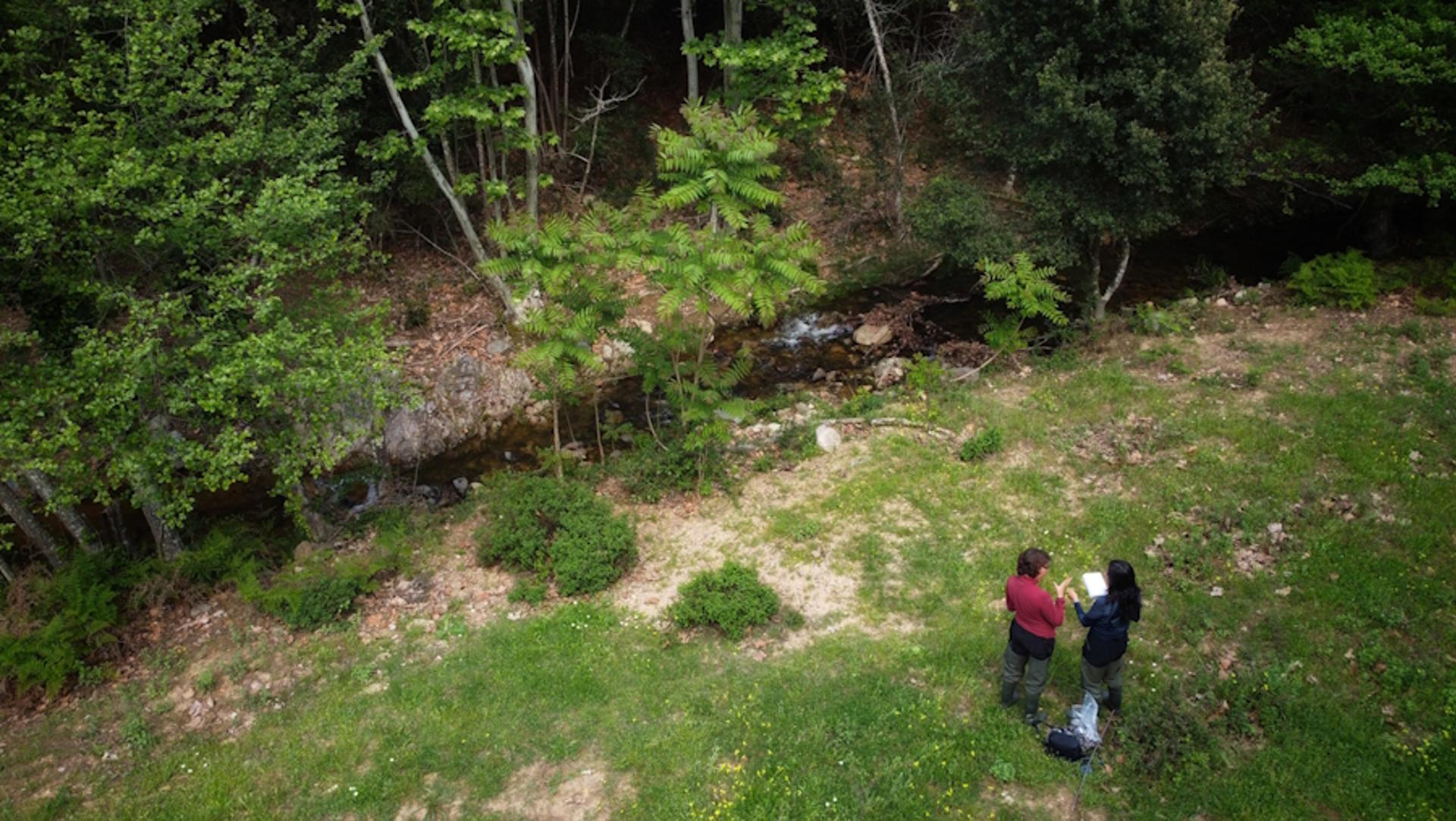 Trabajo de campo en Fuirosos, afluente del río de la Tordera. Fotografía facilitada por el CEAB-CSIC ( X.Peñarroya). EFE