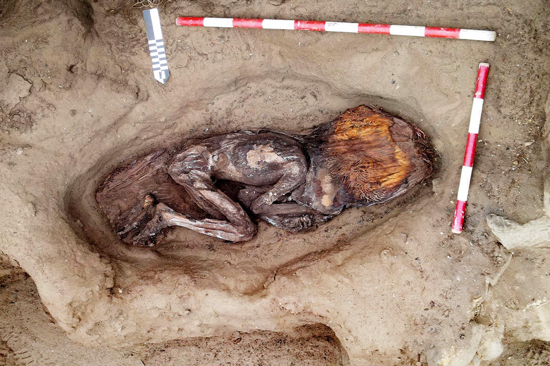 Fotografía cedida por la Zona Arqueológica Caral del yacimiento de la Huaca de los Ídolos, dentro del sitio arqueólogico Áspero, una antigua ciudad pesquera perteneciente a la civilización Caral. EFE/ Zona Arqueológica Caral