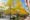 Los árboles lucen colores otoñales en una calle en Zaragoza en una imagen de archivo. EFE/ Javier Belver