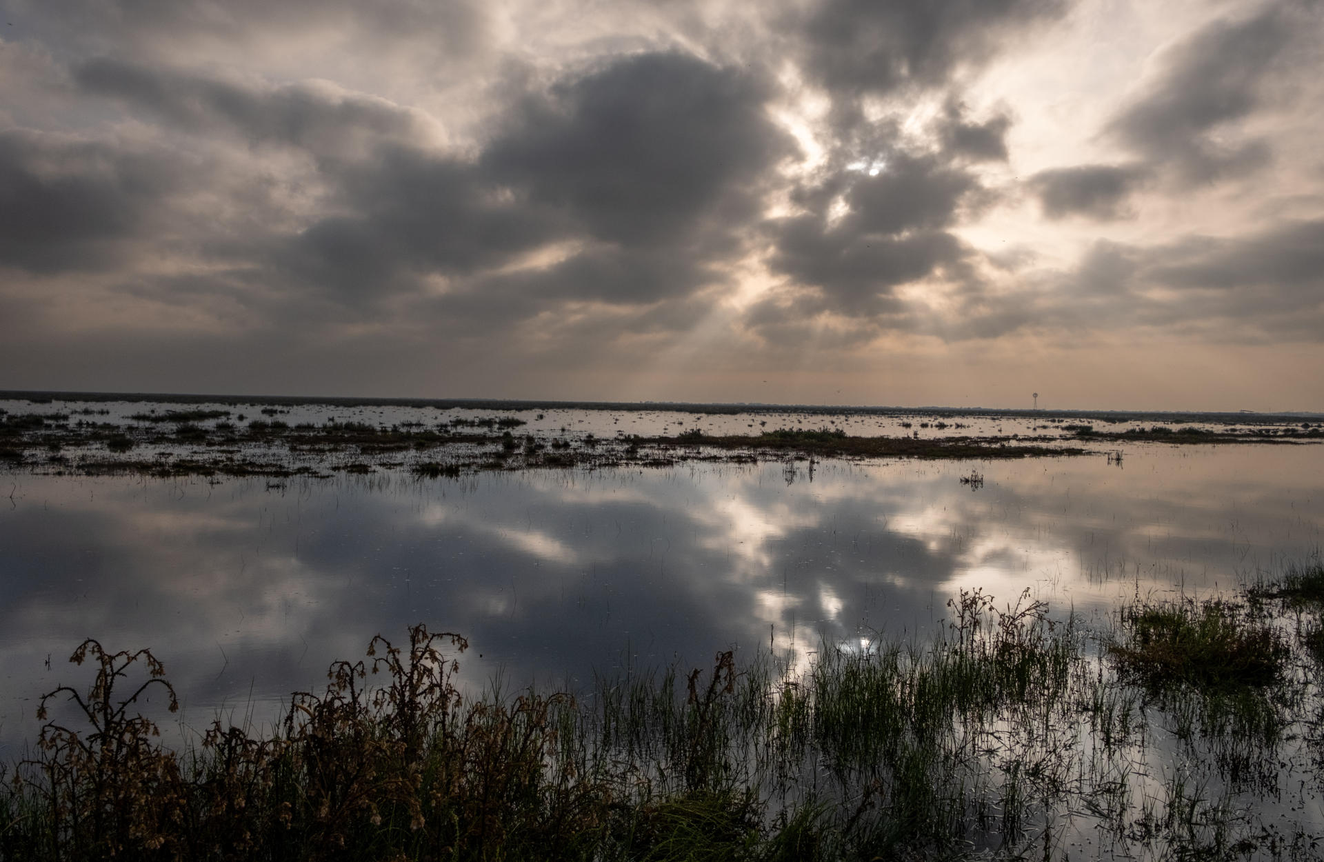 Fotografía de archivo de las lagunas de Doñana. EFE/ Julián Pérez