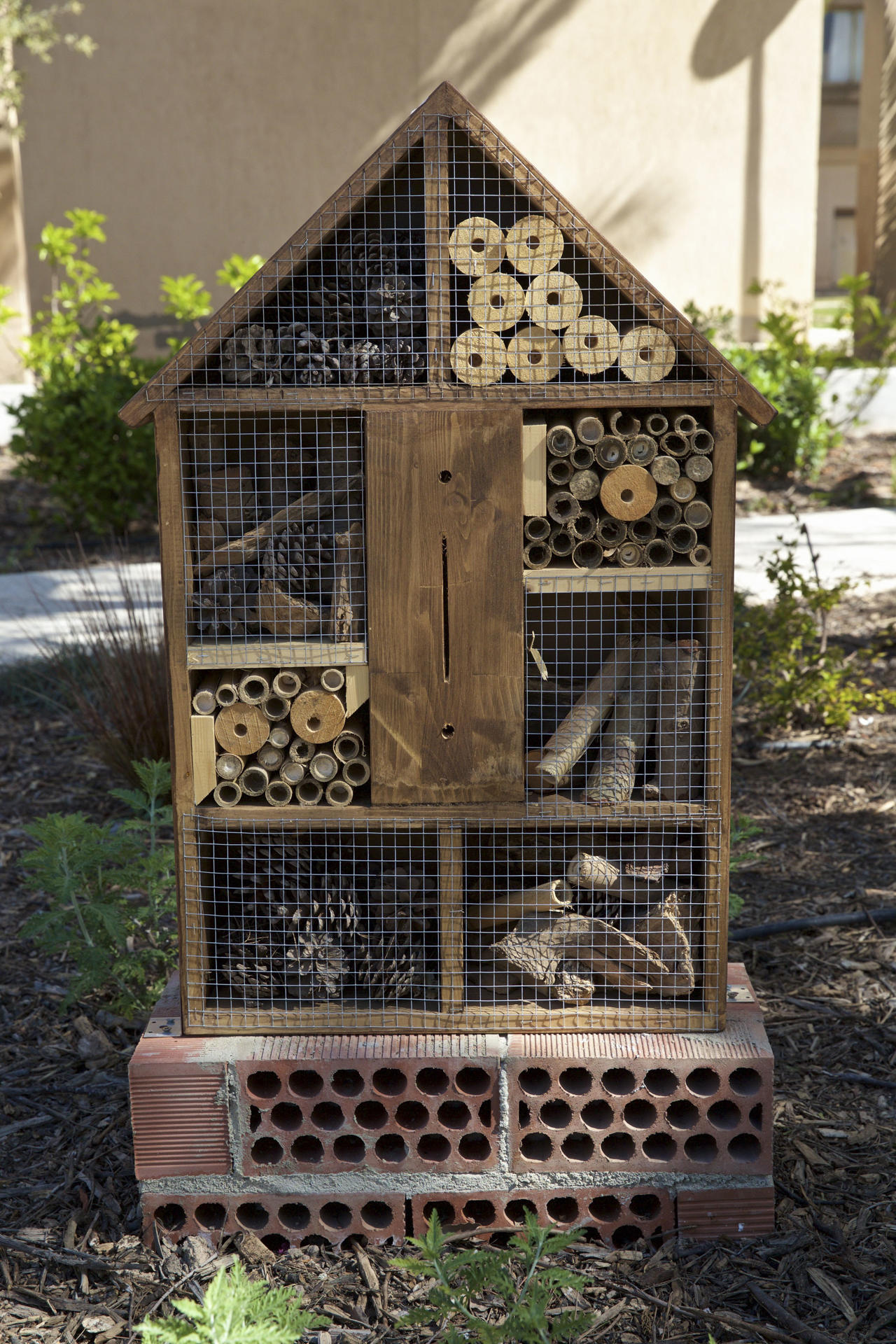 La Universidad de Alicante (UA) se ha sumado al proyecto 'ODSesiones', impulsado por la de Murcia, con la instalación de ocho 'hoteles' por todo el campus para atraer a abejas, abejorros o avispas con la finalidad de promover la conservación de especies polinizadoras EFE/ Universidad de Alicante/SOLO USO EDITORIAL/SOLO DISPONIBLE PARA ILUSTRAR LA NOTICIA QUE ACOMPAÑA (CRÉDITO OBLIGATORIO)