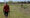 Fotografía del 1 de abril de 2025 de un campesino caminando en un finca, en Cárdenas (Cuba). Julio, un campesino cubano de 71 años, decidió vender el año pasado todas sus vacas, cansado de los vándalos que se las robaban en las noches para luego comercializar la carne en el mercado negro. EFE/ Ernesto Mastrascusa
