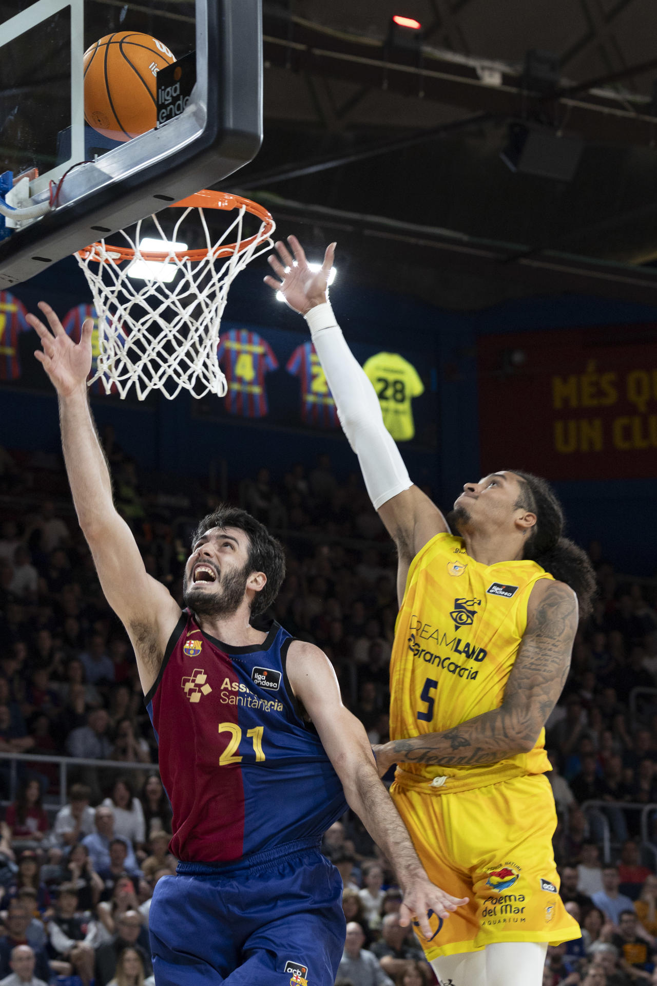 El alero del Barça Álex Abrines (i) lucha un rebote con Homesley, Dreamland Gran Canaria, en el partido de la jornada 28 de la Liga Endesa que disputaron Barça y Dreamland Gran Canaria este domingo en el Palau Blaugrana. EFE/Marta Pérez