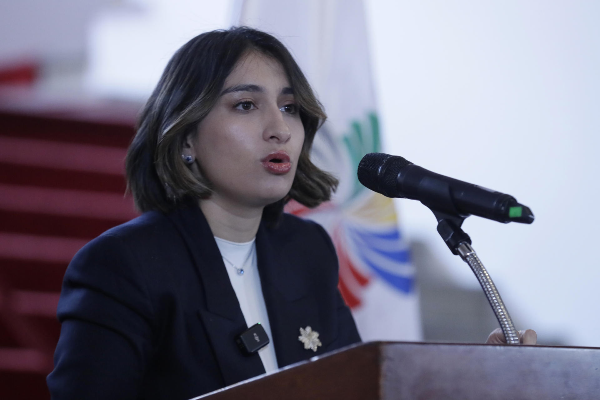 La Canciller de Colombia, Laura Sarabia, durante una rueda de prensa este miércoles, 30 de abril, en Bogotá (Colombia). EFE/Carlos Ortega