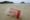 Un vaso de plástico en la orilla de una playa en China. EFE/Alex Hofford/Archivo