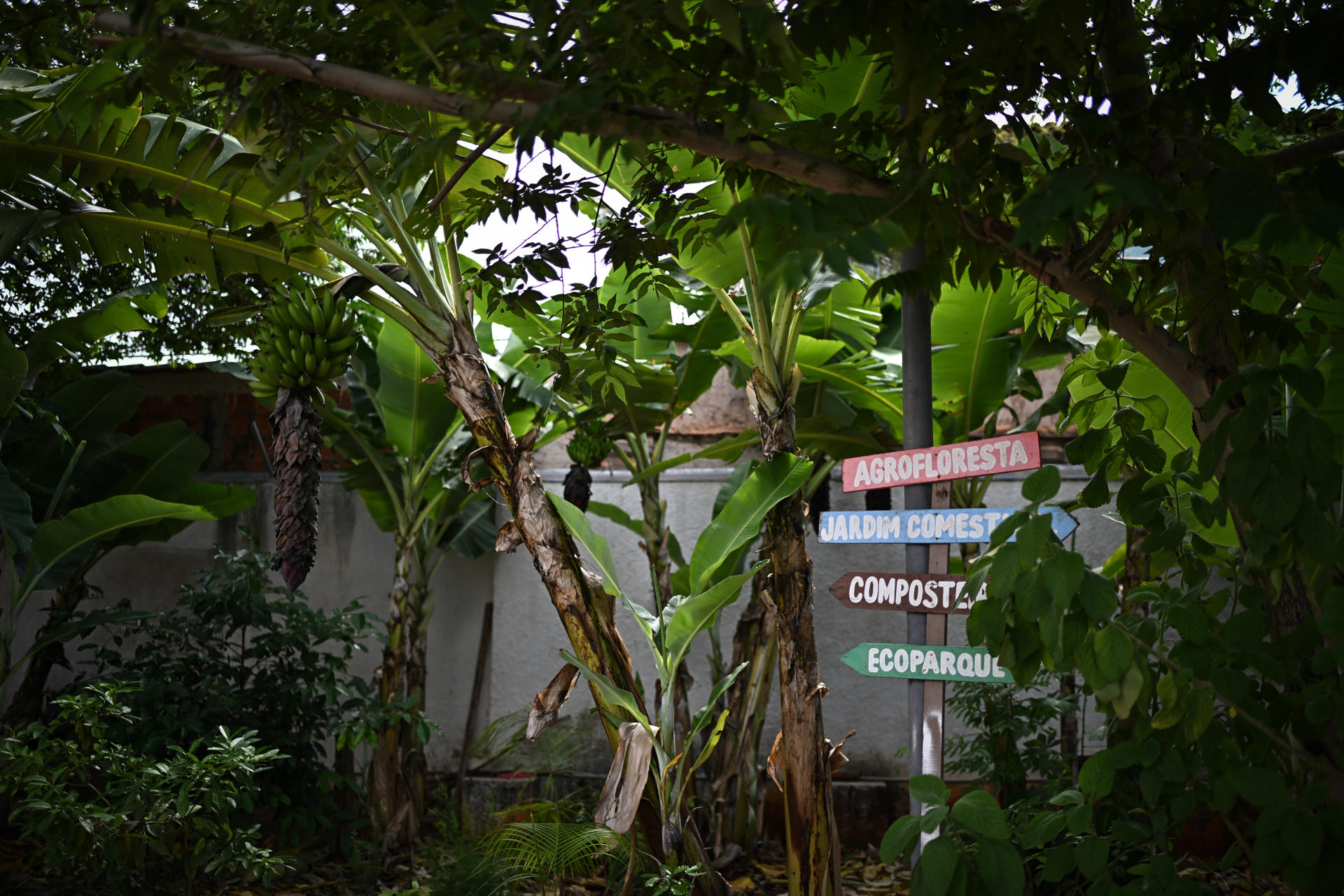 Imagen de archivo de una escuela agroforestal. EFE/Andre Borges