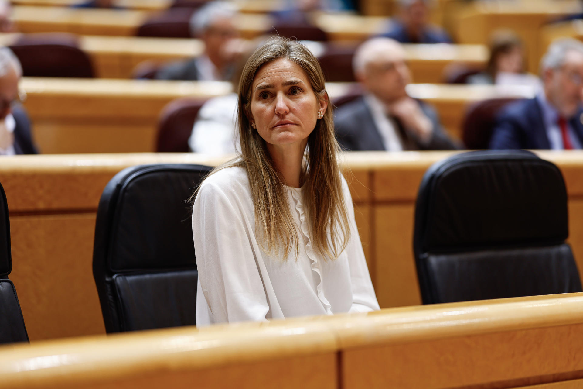 La ministra para la Transición Ecológica, Sara Aagesen, durante la sesión de control al Gobierno celebrada por el pleno del Senado, este martes en Madrid. EFE/ Rodrigo Jiménez