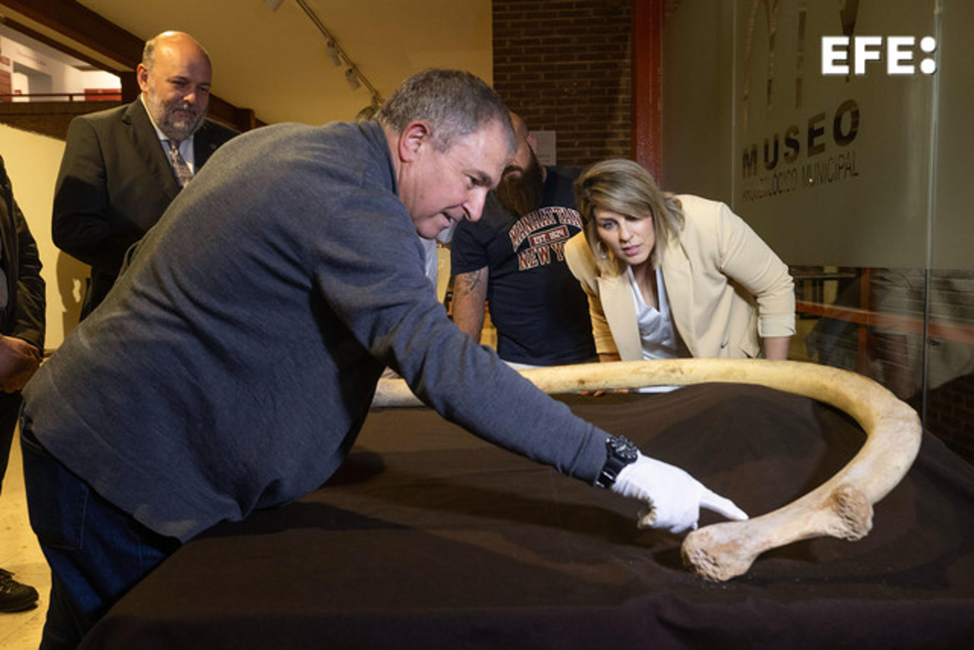 La alcaldesa de Cartagena, Noelia Arroyo (d), y el concejal de Patrimonio, Pablo Braquehais (i), este miércoles durante la presentación en el Museo Arqueológico de Cartagena (Murcia) de una costilla de mamut de más de 1,5 metros, hallada en perfecto estado por un particular en Cueva Victoria, lo que data la presencia de estos grandes mamíferos hace un millón de años y confirma que el entorno contaba con una gran cantidad de vegetación y agua dulce, elementos indispensables para sostener a animales que podían llegar a superar las 10 toneladas de peso. EFE/ Marcial Guillén