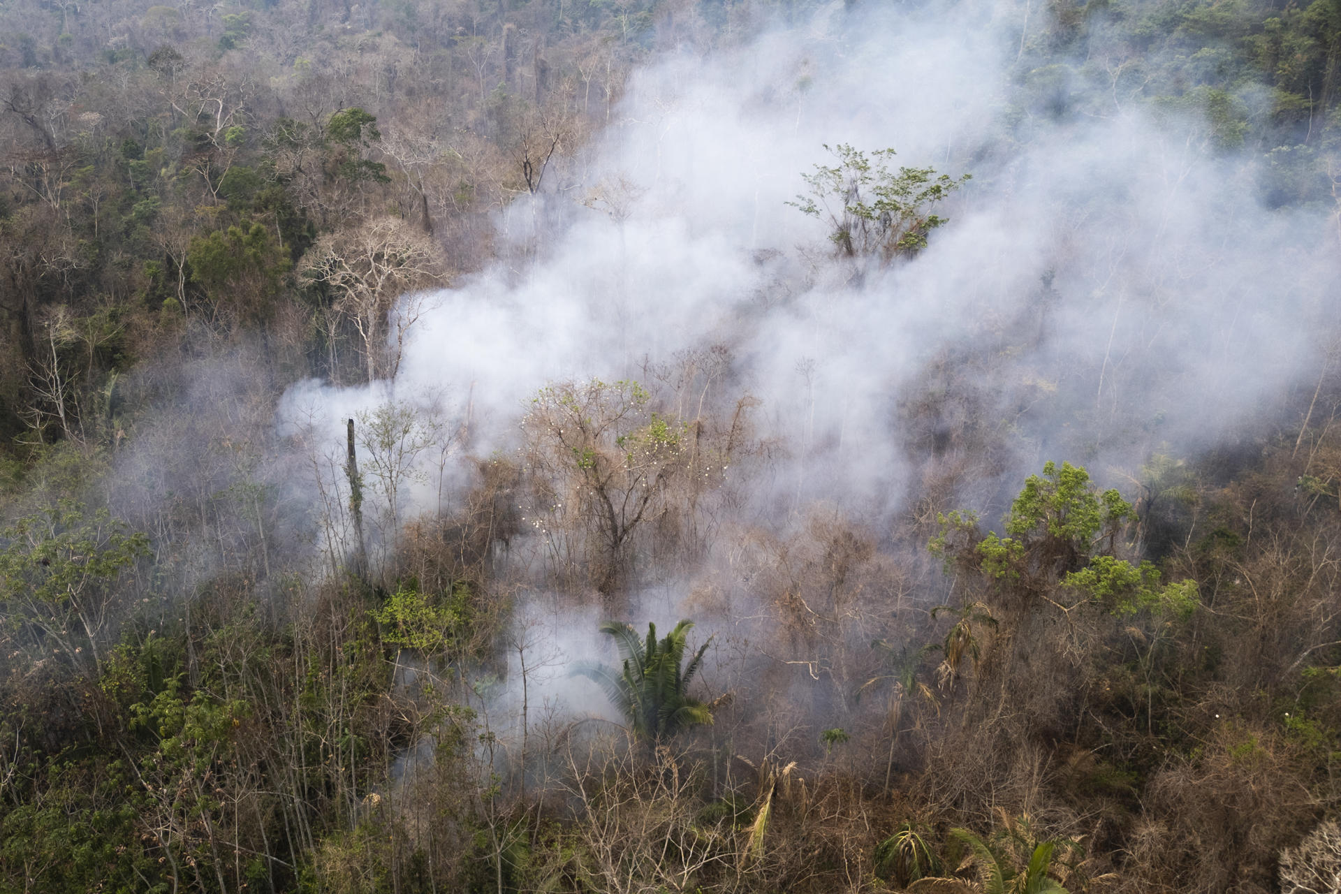 Fotografía aérea que muestra un área con incendios en la Amazonía brasileña. EFE/Isaac Fontana