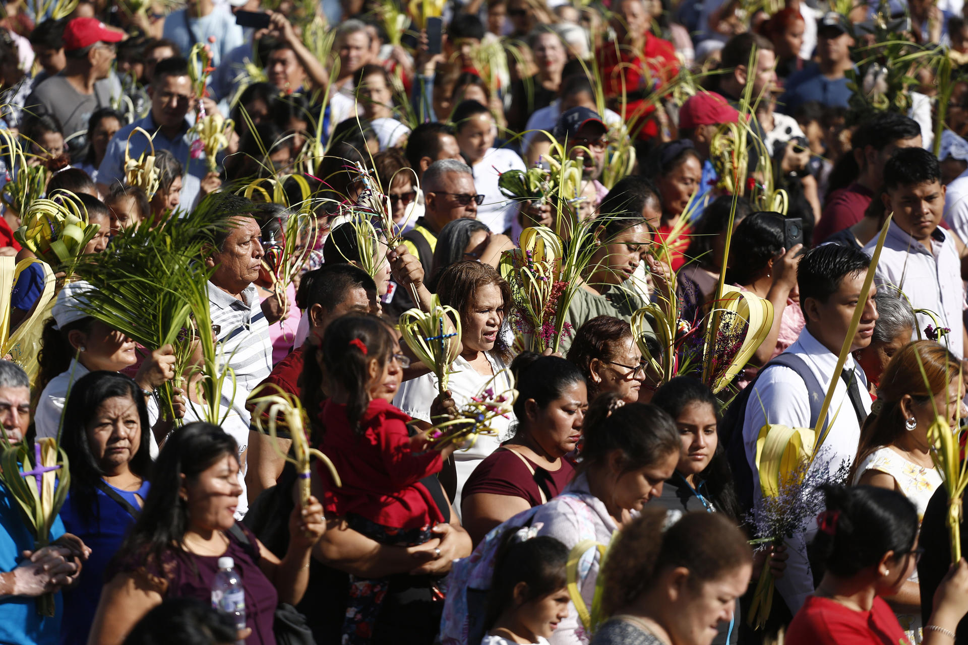 Personas participan en la celebración del Domingo de Ramos, en la Cripta de la Catedral este 14 de abril 2025, en San Salvador (El Salvador). EFE/ Rodrigo Sura
