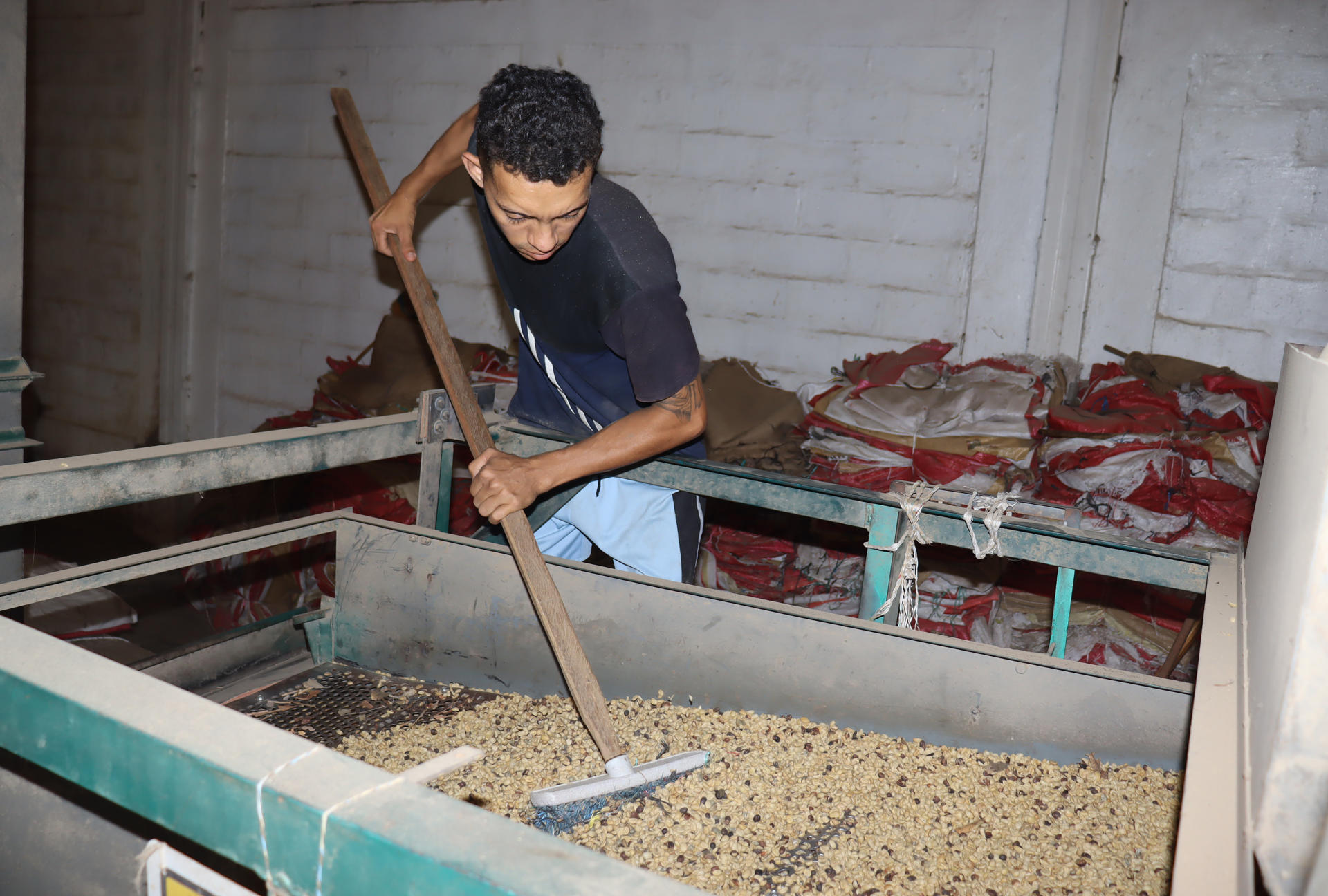 Un hombre trabaja en la cafetalera San Francisco de Asís este miércoles, en el municipio de Tapachula en Chiapas (México). EFE/Juan Manuel Blanco