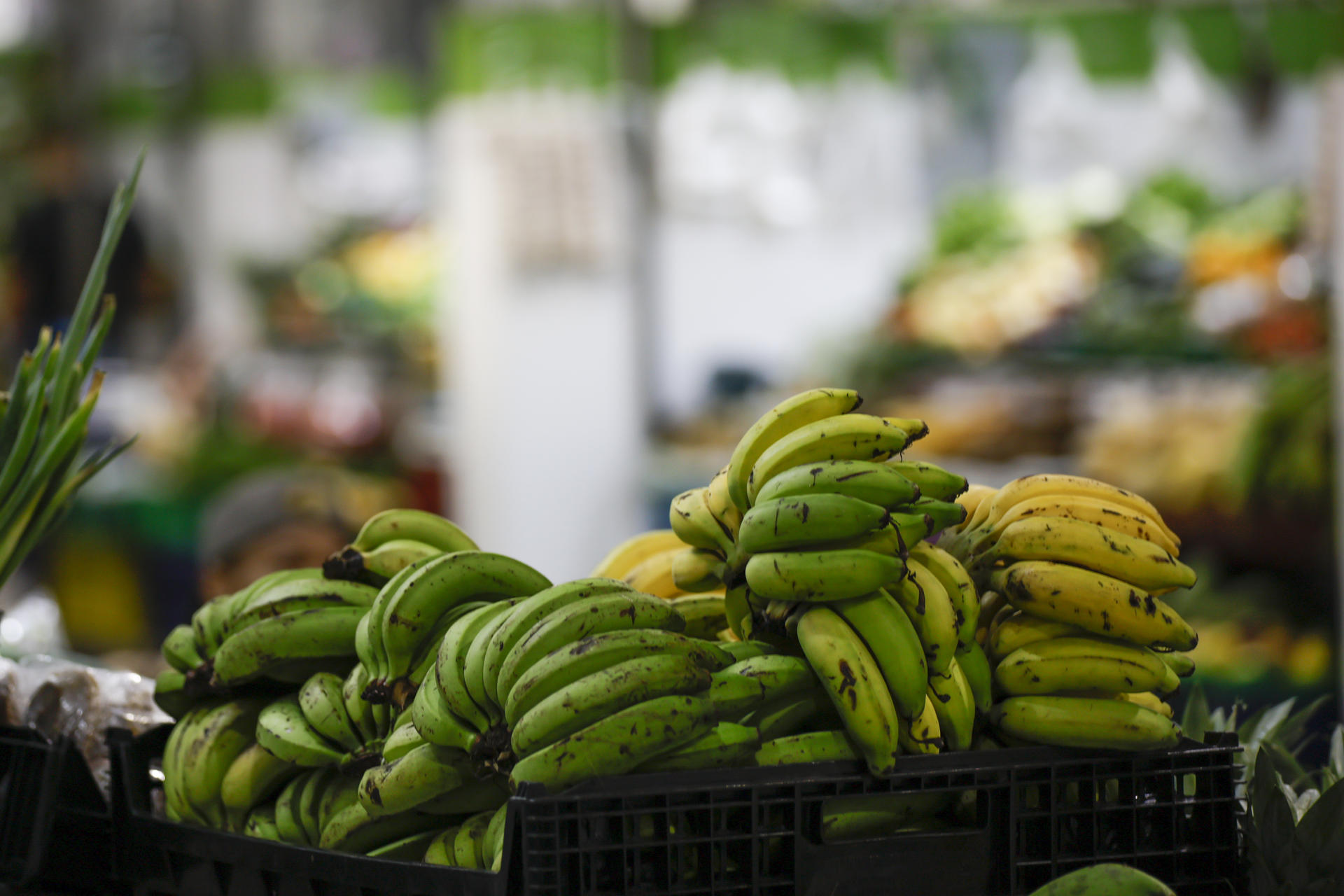 Fotografía que muestra un punto de venta de frutas y verduras este viernes, en el mercado de Abastos en La Chorrera (Panamá). EFE/ Bienvenido Velasco