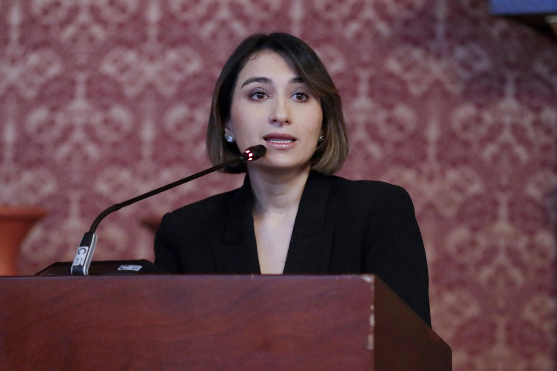 La canciller de Colombia, Laura Sarabia, habla en una rueda de prensa, el 27 de marzo de 2025, en Bogotá (Colombia). EFE/ Carlos Ortega
