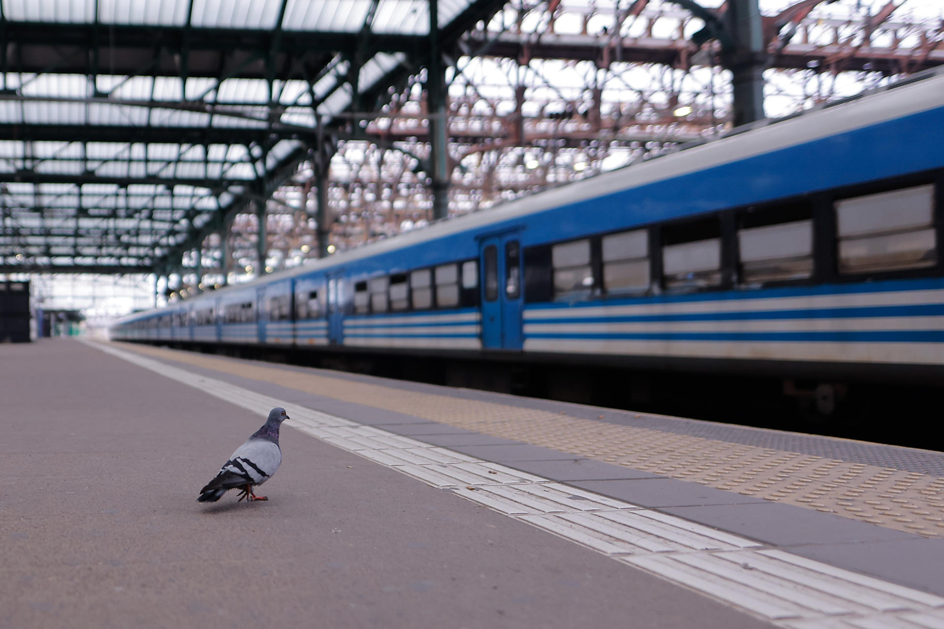 Fotografía de la estación ferroviaria de Constitución este 10 de abril de 2025, durante un paro nacional en la ciudad de Buenos Aires (Argentina). EFE/ Juan Ignacio Roncoroni