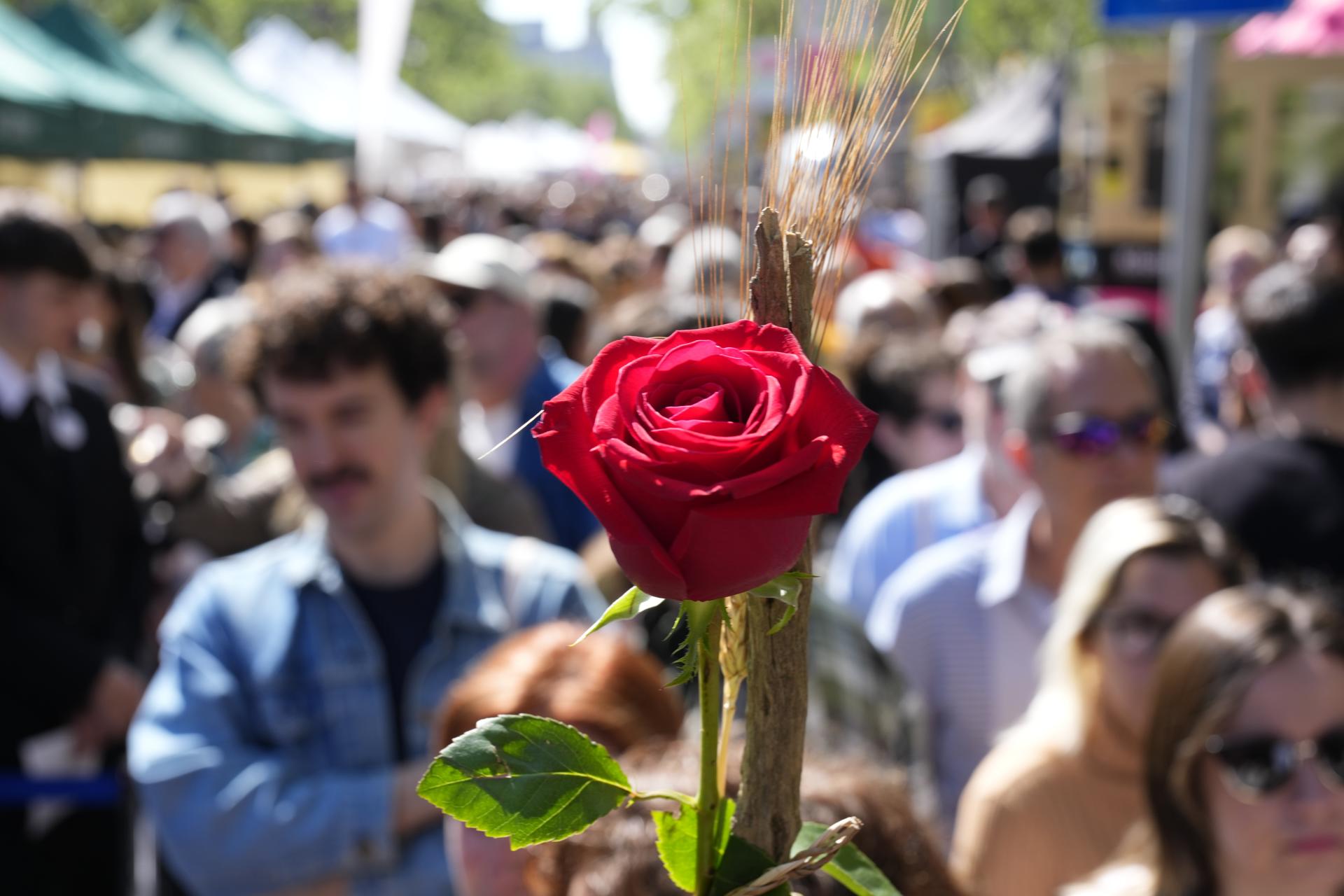 La fiesta de Sant Jordi vuelve a transformar Barcelona y otras ciudades y pueblos de Cataluña, con multitudes en sus calles, con ciudadanos en busca de un libro y otros muchos con rosas en sus manos desde primeras horas de la mañana, en una jornada imbatible, en día laborable, y con buena climatología. EFE/EPA/ALEJANDRO GARCIA