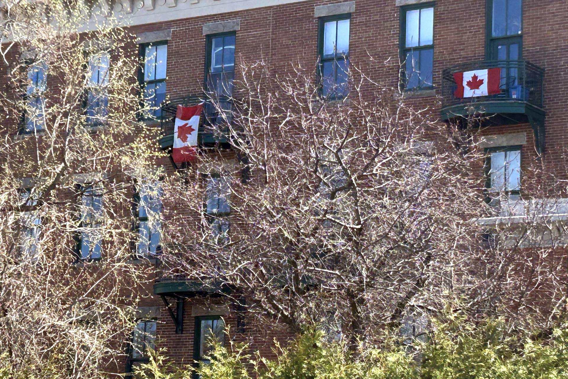 Fotografía banderas canadienses colgadas este lunes, día de las elecciones, en las ventanas de unos apartamentos en Ottawa (Canadá). EFE/ Javier Otazu