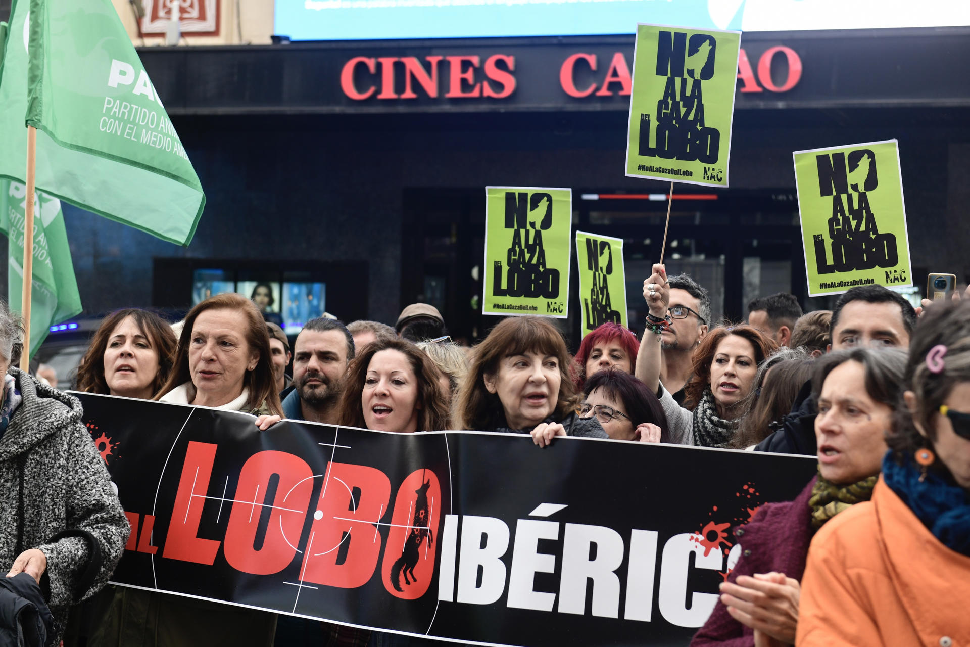 Podemos ha solicitado al Defensor del Pueblo que investigue la constitucionalidad de las enmiendas de la Ley 1/2025 de prevención de las pérdidas y el desperdicio alimentario, por las que el lobo ibérico deja de estar en el Listado de Especies Silvestres de Especial Protección (Lespre).EFE / Victor Lerena.