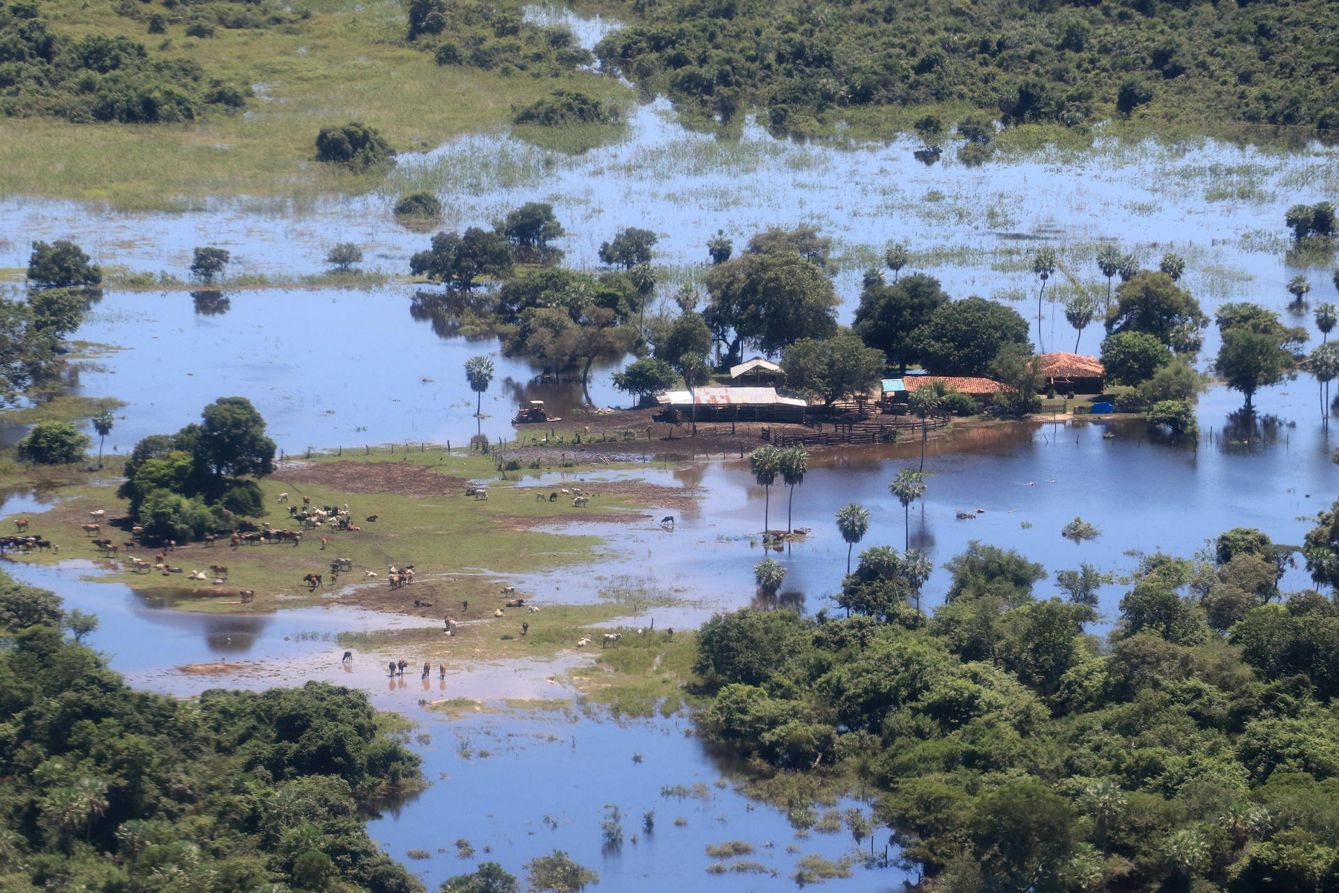 Fotografía aérea que muestra zonas inundadas por fuertes lluvias este miércoles en Beni (Bolivia). EFE/Juan Carlos Torrejón