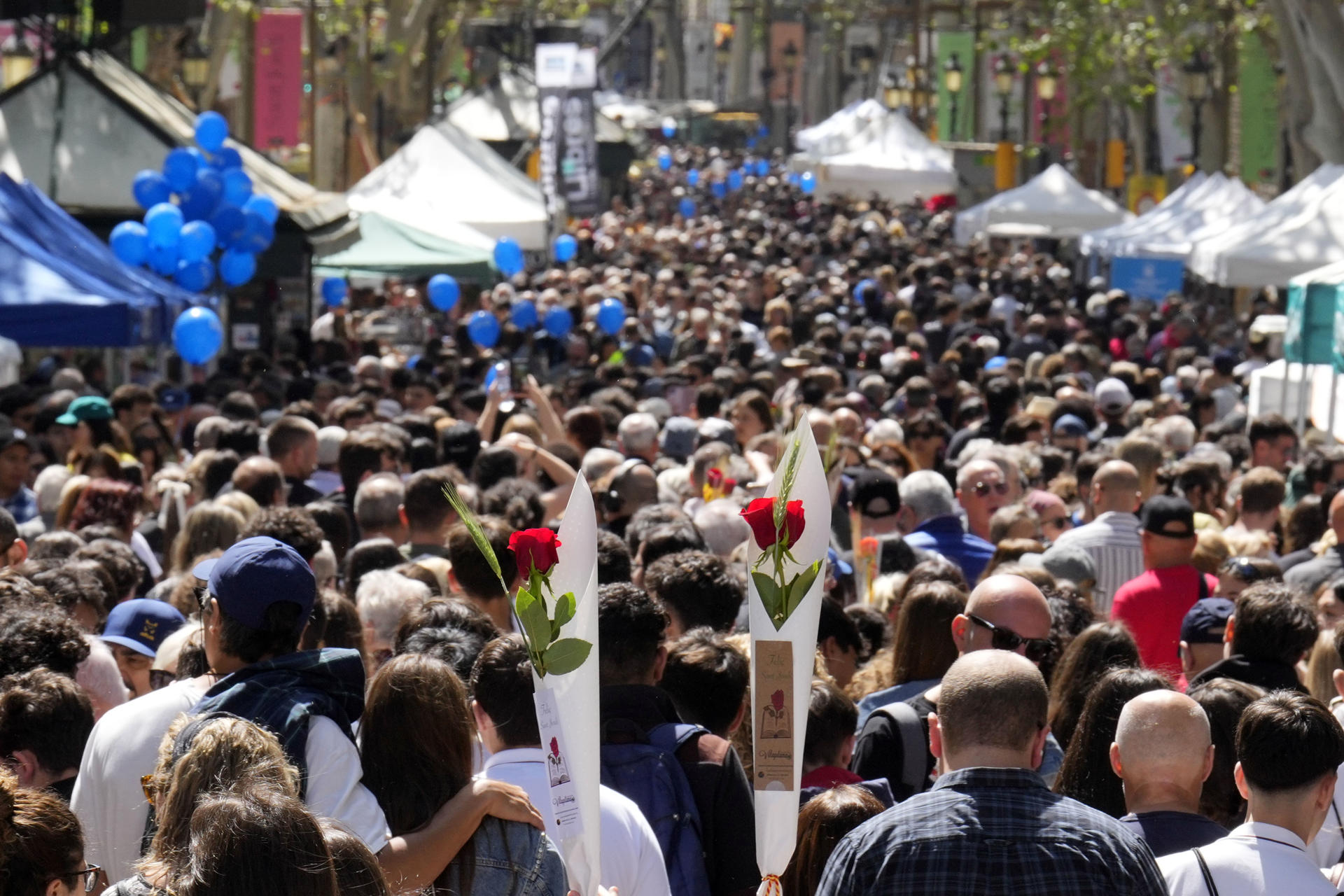 FOTODELDÍA GRAFCAT7256. BARCELONA, 23/04/2025.- Miles de personas abarrotan Las Ramblas de Barcelona durante la Diada de Sant Jordi, en la que los catalanes toman las calles a la búsqueda de libros y rosas para regalar a sus seres queridos y allegados. EFE/Alejandro García