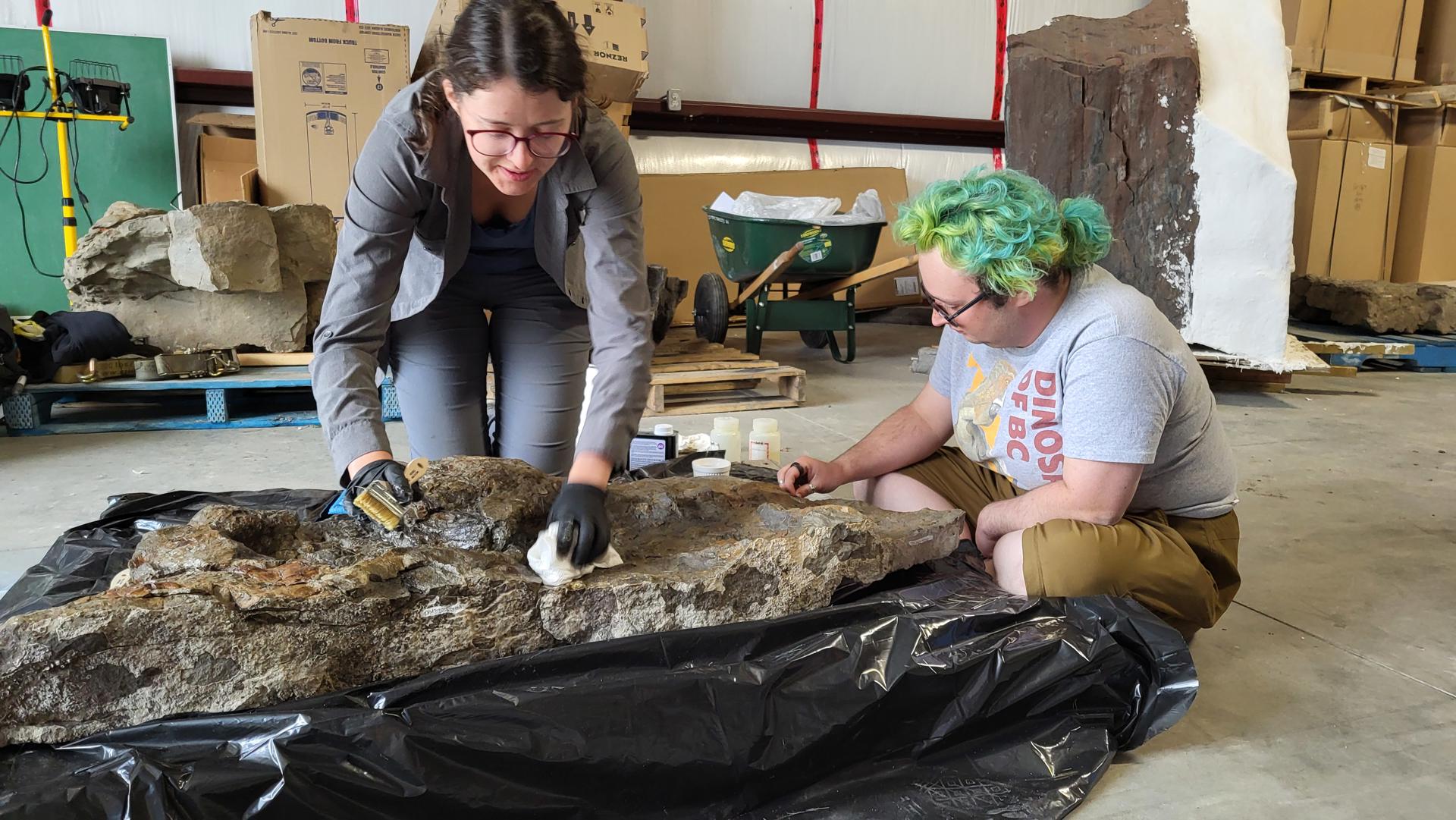 Miembros del equipo de investigación aplican consolidantes a una huella del espécimen tipo de Ruopodosaurus antes de hacer un molde de silicona. Crédito: Crédito Royal BC Museum/SOLO USO EDITORIAL