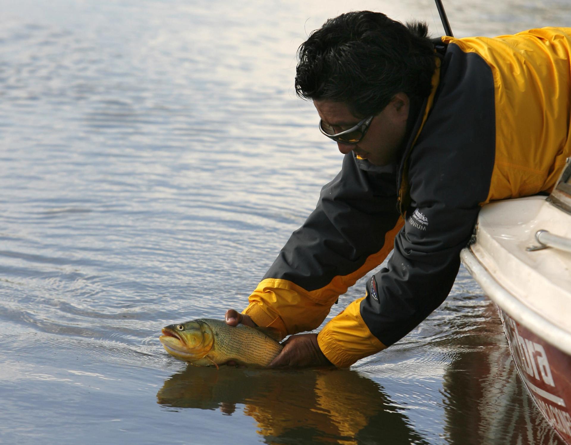 Fotografía de archivo en donde se ve un pescador atrapando a un pez dorado en un afluente del río Paraná, cerca de la ciudad de Goya, en la provincia de Corrientes, distante 788 km. de Buenos Aires, Argentina. EFE/Cézaro De Luca