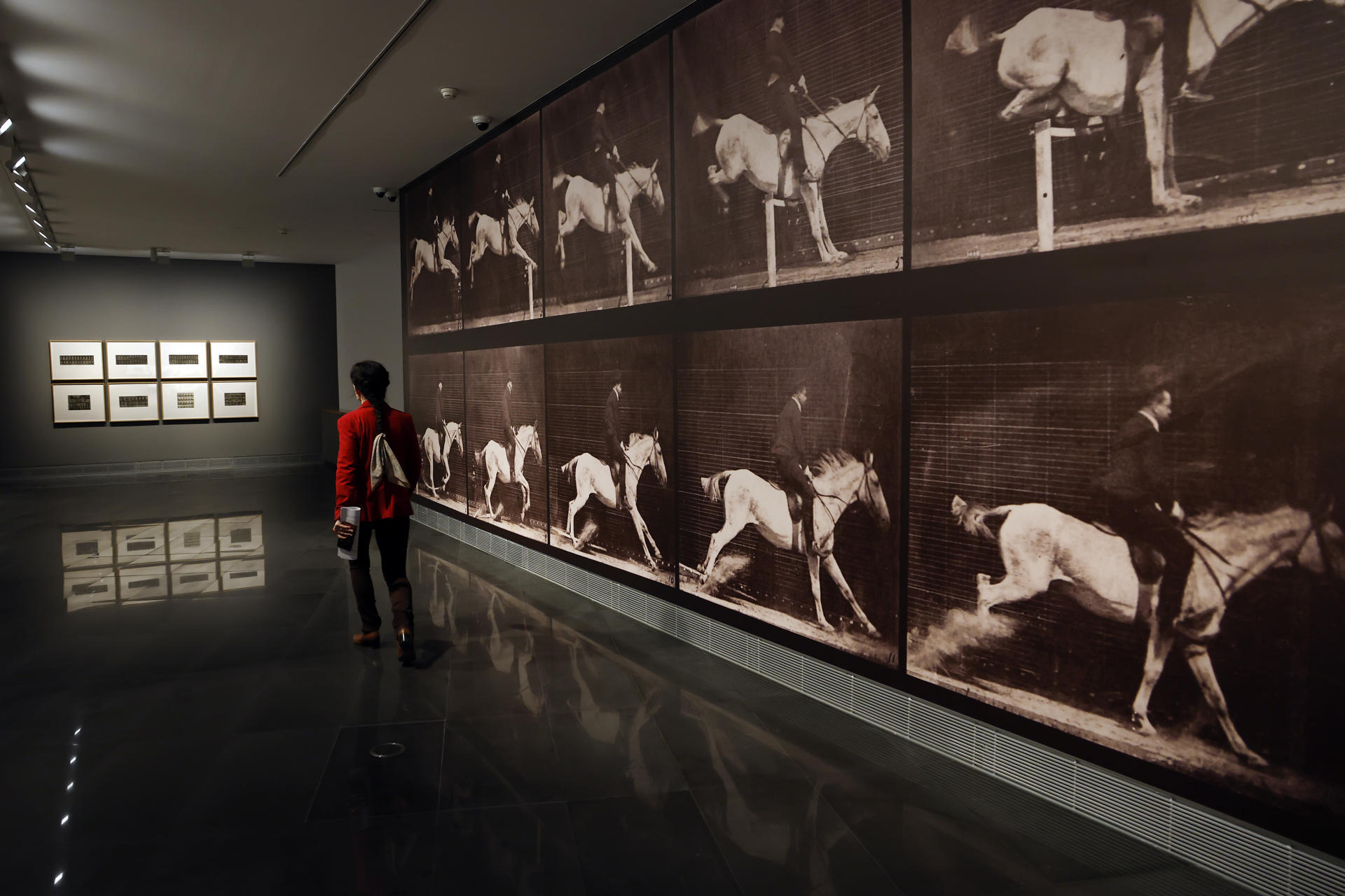 El Museo Universidad de Navarra acoge desde este 2 de abril y hasta el 24 de agosto sesenta series fotográficas  de Eadweard Muybridge, pionero en la representación del movimiento a través de su cámara, antes de la invención del cine. La exposición, comisariada por Valentín Vallhonrat e Ignacio Miguéliz, muestra algunas de las famosas series del fotógrafo de origen inglés Eadweard Muybridge (1830-1904) en las que consiguió descomponer el movimiento de animales y personas. EFE/ Jesús Diges