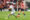 El centrocampista del Athletic Club de Bilbao Mikel Jauregizar (d) juega el balón ante el defensa uruguayo del Rayo Vallecano Pacha Espino (i), durante el partido de la jornada 31 de LaLiga EA Sports que disputaron Athletic Club de Bilbao y Rayo Vallecano en el estadio de San Mamés, en Bilbao. EFE/Javier Zorrilla
