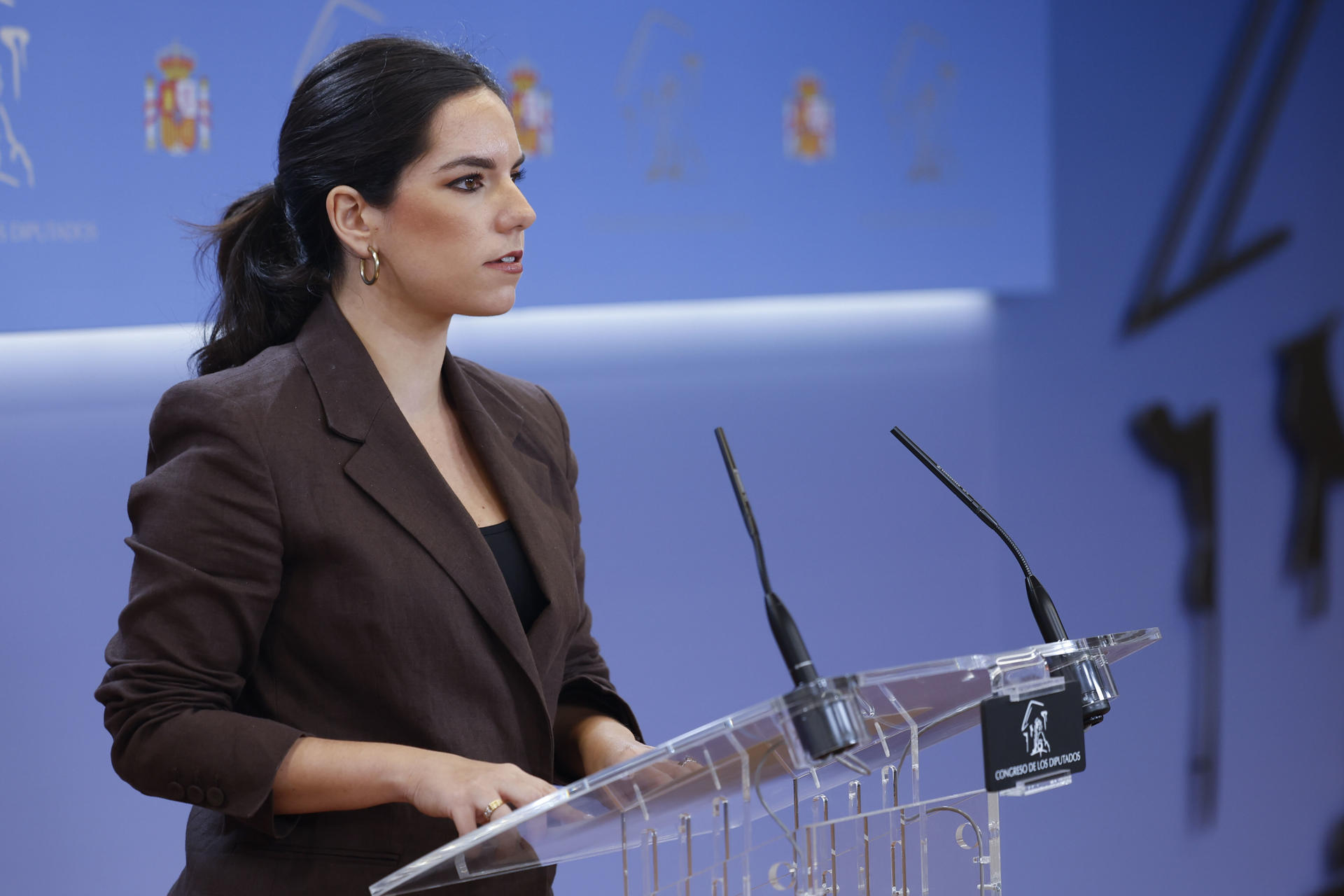 La portavoz de Vox en el Congreso, Pepa Millán, durante la rueda de prensa este martes en el Congreso de los Diputados.-EFE/ Mariscal