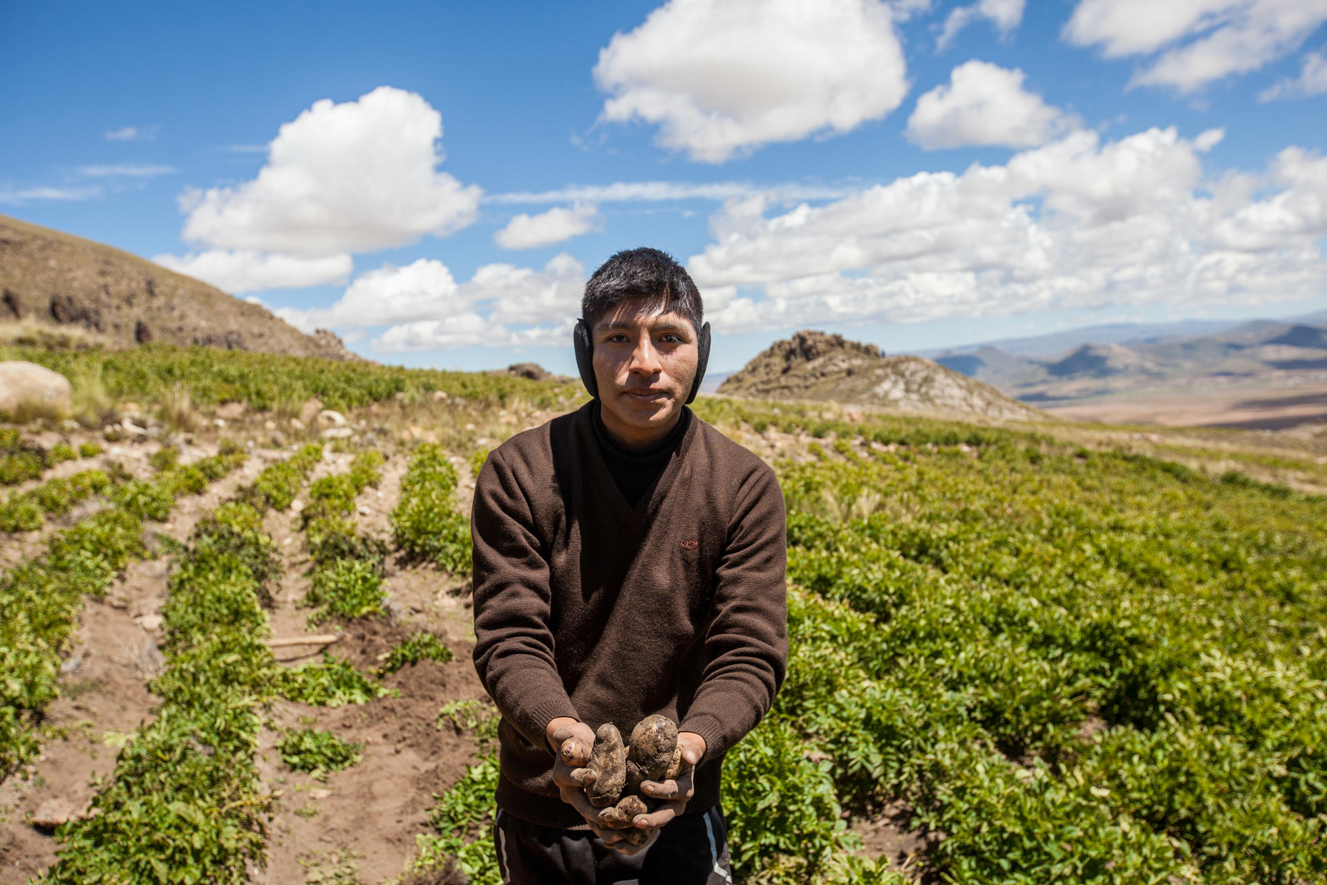 Fotografía del 9 de abril de 2025 de Leonel Mejía sosteniendo papas nativas andinas en la localidad de Chiarumani (Bolivia). EFE/ Esteban Biba