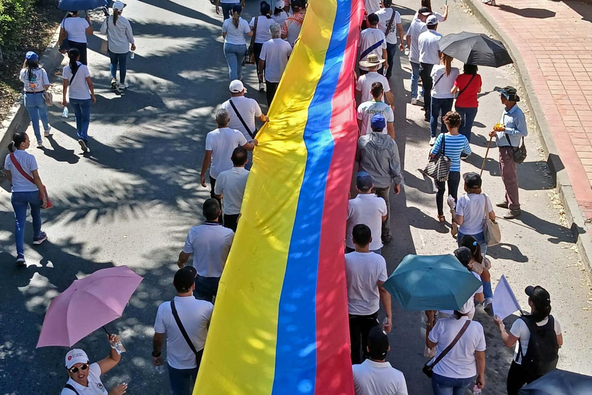 Personas sostienen una bandera de Colombia durante una manifestación para exigir el respeto a la vida y la paz en la región del Catatumbo, en una fotografía de archivo. EFE/ Ana Inés Vega