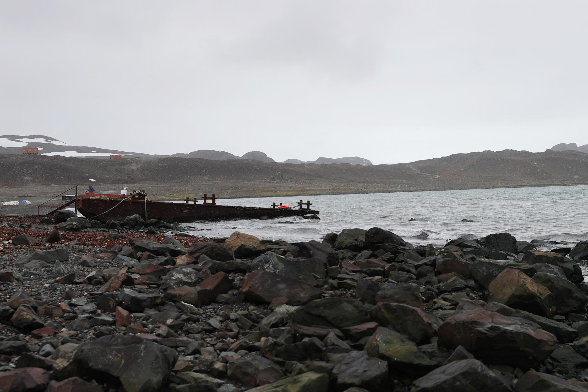 Fotografía de archivo del 15 de marzo 2024 de la Bahía Fildes en la Isla Rey Jorge, Antártica (Chile). EFE/ Javier Martín ARCHIVO