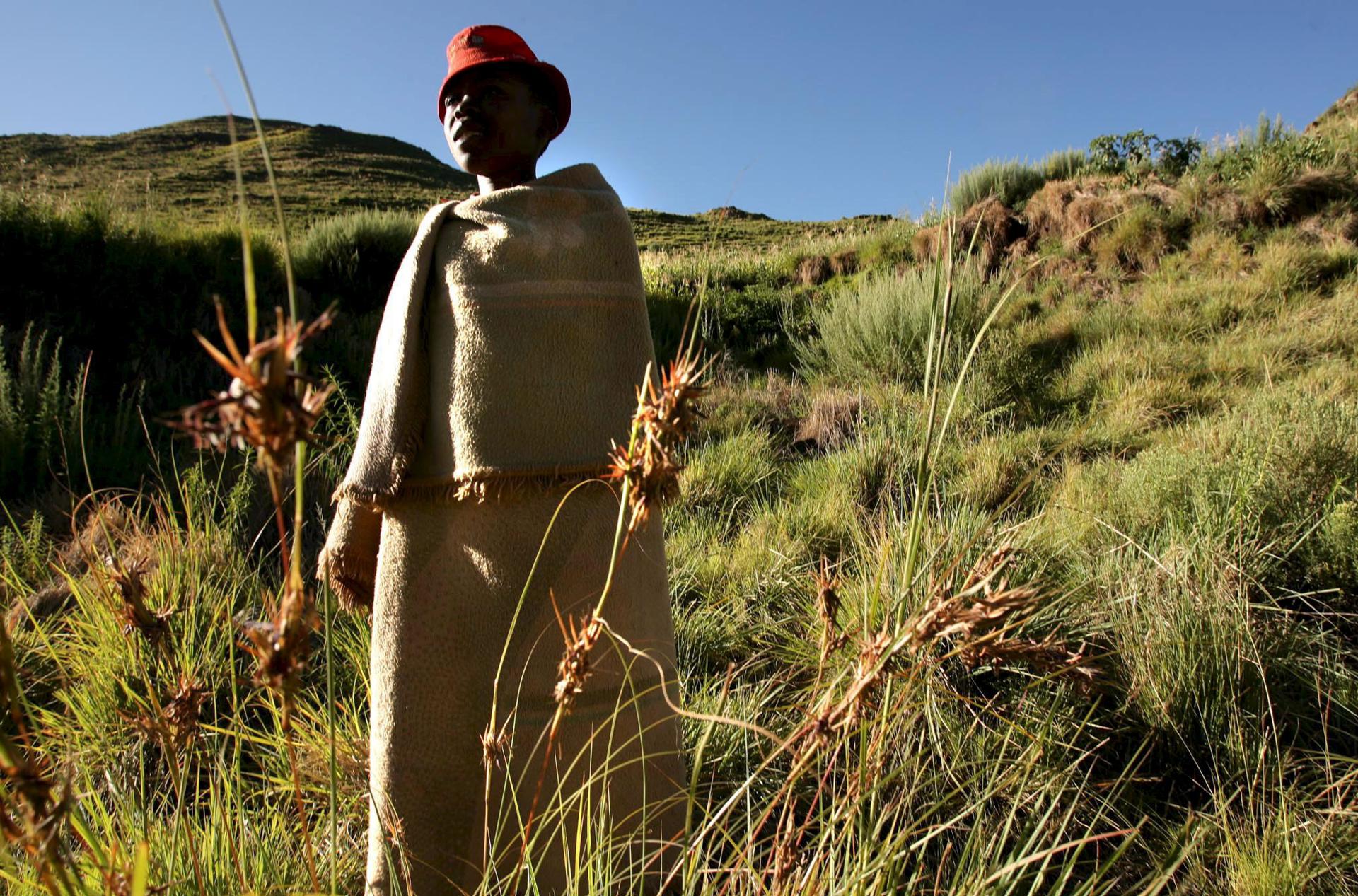 Imagen de archivo de un chico de Lesoto que vigila su ganado en las escarpadas laderas del Monte Maloti cerca de la ciudad de Machache, en Lesoto. EFE/Kim Ludbrook