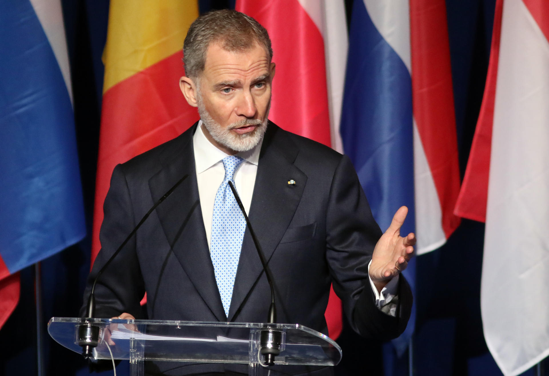 El rey Felipe VI durante su intervención en la inauguración del Foro sobre el futuro del Mediterráneo que se celebra este jueves en el Palacio de Congresos de Granada. EFE/ Pepe Torres