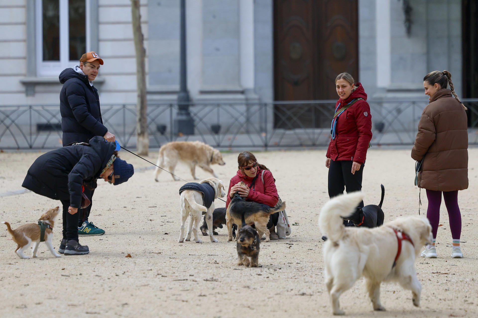 Un grupo de personas pasea a sus perros en un barrio madrileño. EFE/Mariscal/Archivo