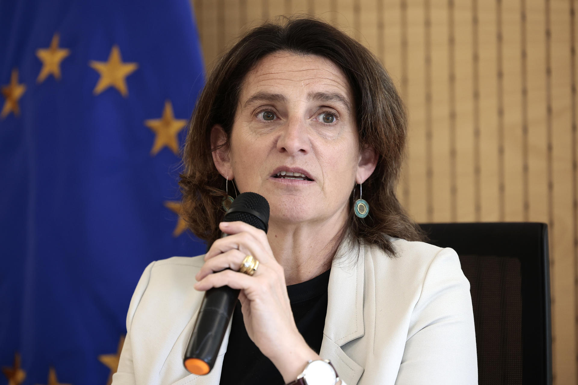 La vicepresidenta de la Comisión Europea (CE) para la Transición Limpia, Justa y Competitiva, Teresa Ribera, habla durante una rueda de prensa este miércoles, en Ciudad de México (México). EFE/José Méndez