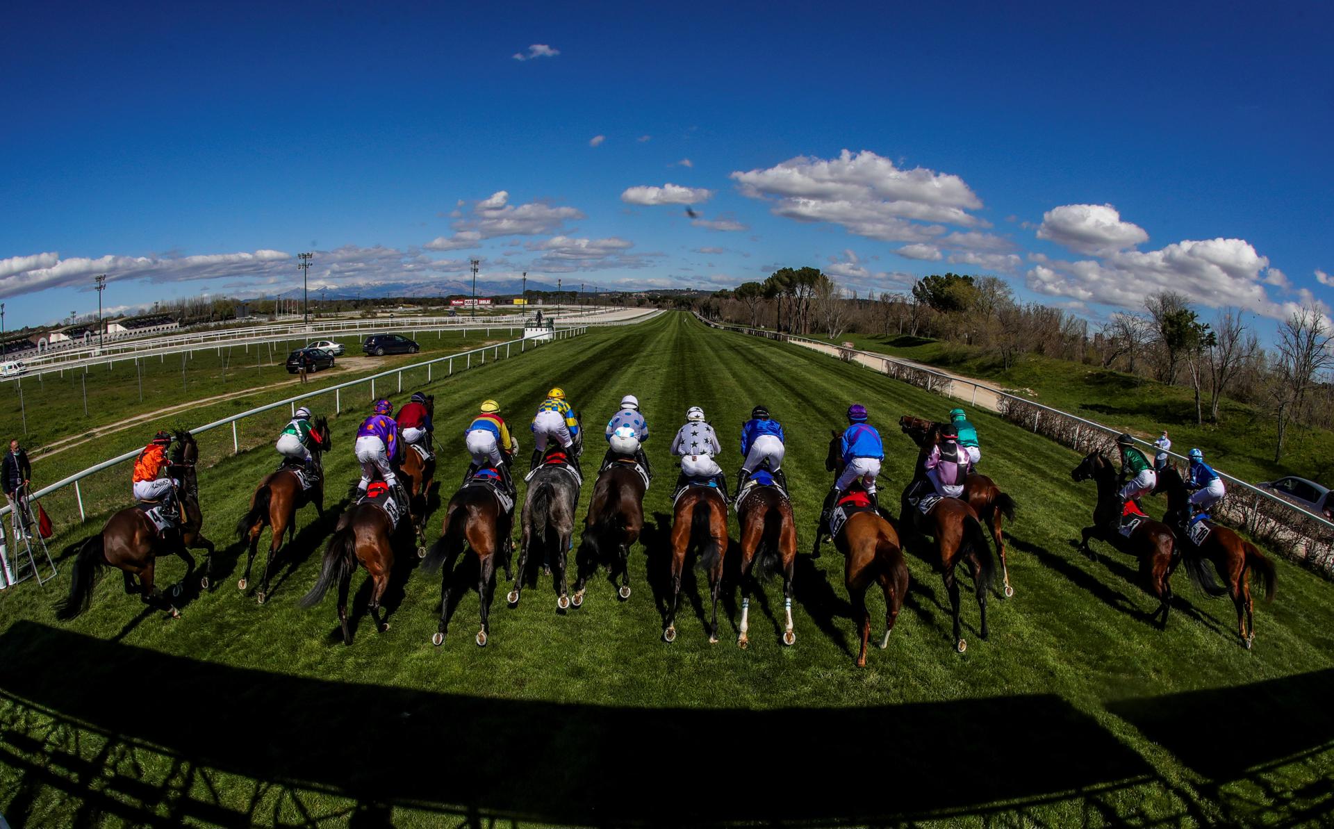 Fotografía de una salida de una carrera en el Hipódromo de la Zarzuela en foto de archivo de Juanjo Martín. EFE