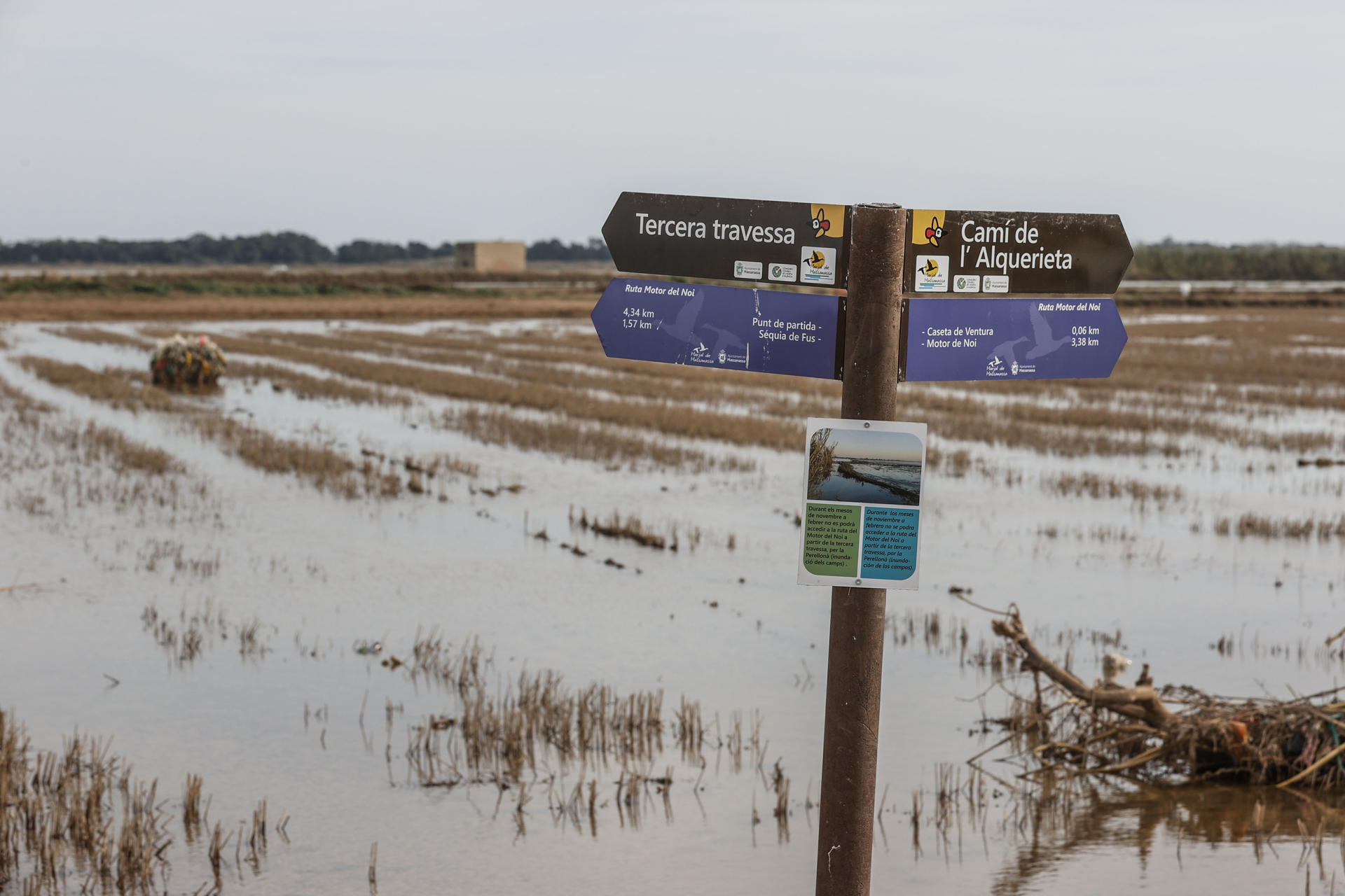 En la imagen de archivo del pasado mes de enero, restos arrastrados por la inundación en algunos campos del parque natural de la Albufera (Valencia). EFE/Manuel Bruque