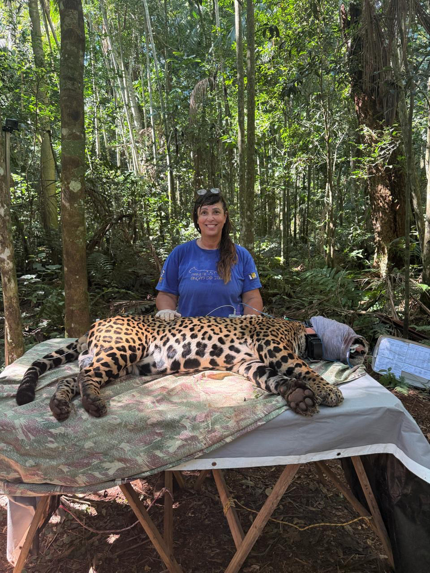 Fotografía sin fecha cedida por Equipe Projeto Onças do Iguaçu de la ganadora del premio Whitley 2025, Yara Barros. EFE/ Equipe Projeto Onças Do Iguaçu