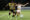 Alan Romero de Guaraní (i) disputa un balón con Andrés Torrico de Nacional Potosí en un partido de la fase de grupos de la Copa Sudamericana. EFE/ Juan Pablo Pino