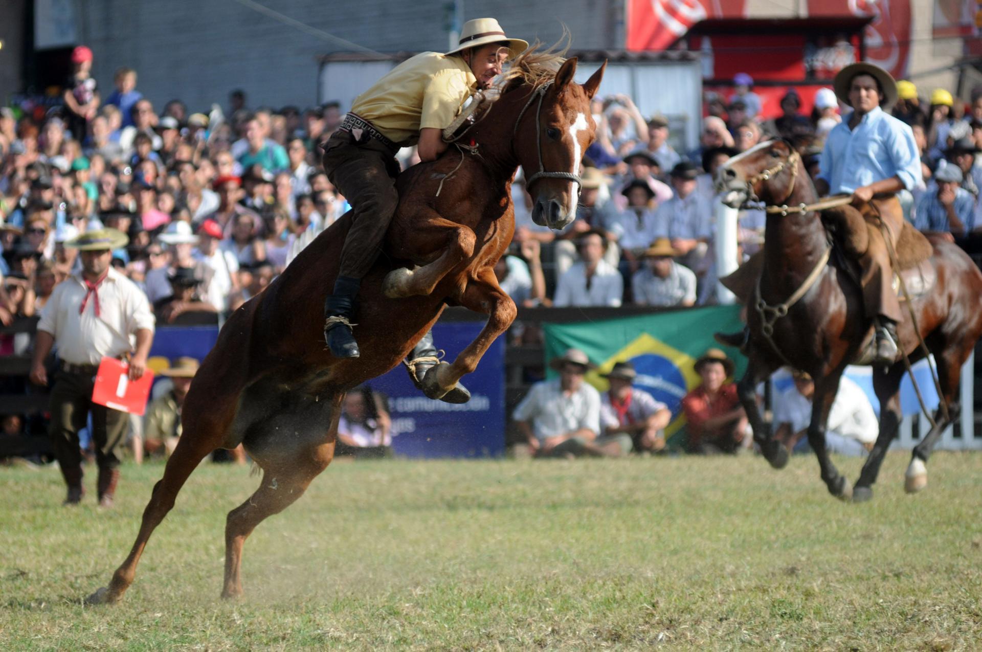 Foto de archivo de un gaucho en una jinetada de en Montevideo. EFE/Sandro Pereyra