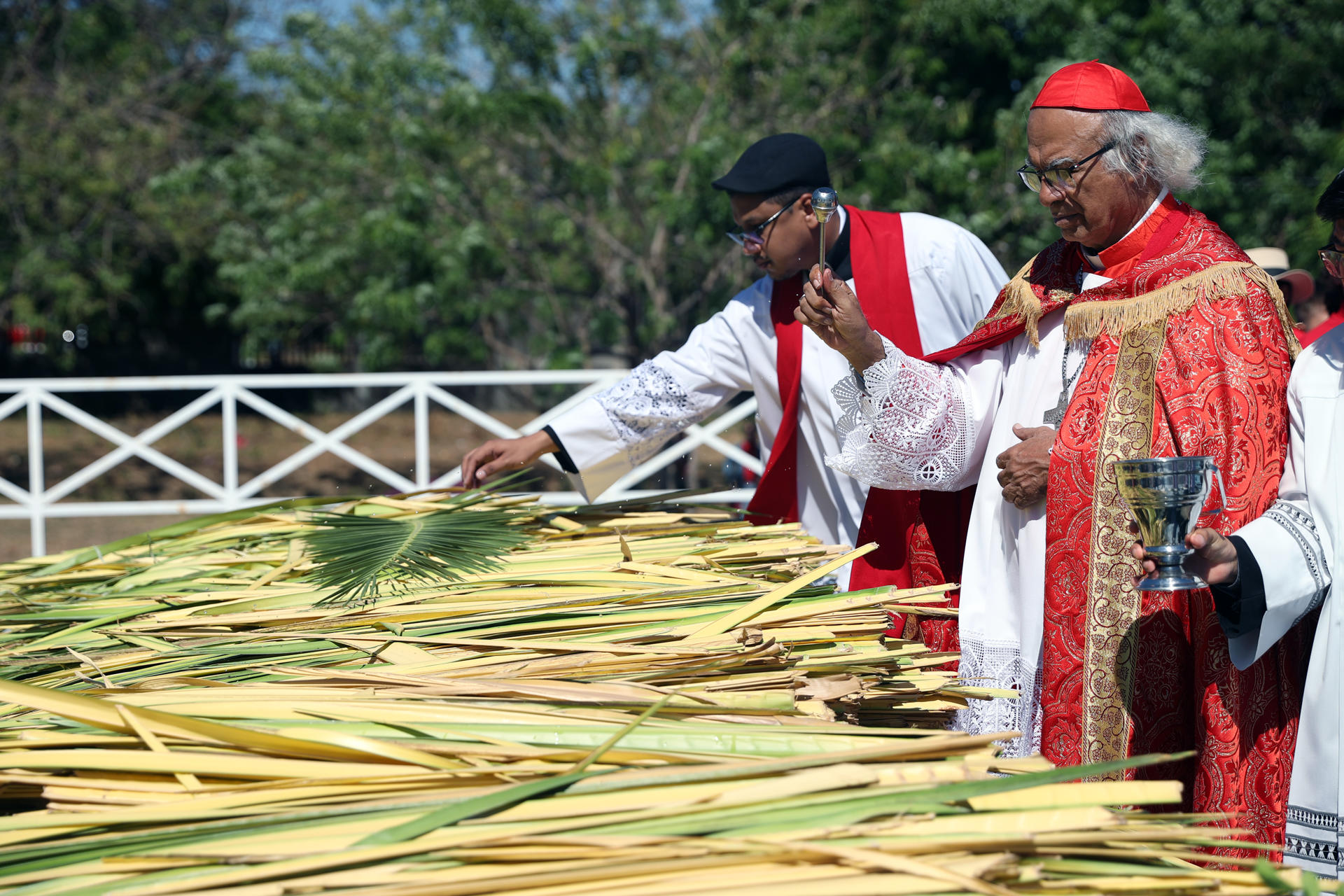 El cardenal Leopoldo Brenes, arzobispo de Managua, oficia la misa del Domingo de Ramos, en el inicio de las festividades religiosas de Semana Santa este domingo en Managua (Nicaragua). EFE/STR