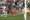 El jugador del Valencia CF Umar Sadiq (c) ante la portería de Augusto Batalla (d), del Rayo Vallecano, durante el partido de la jornada 32 de LaLiga EA Sports disputado este sábado en el estadio de Vallecas. EFE/Zipi Aragón
