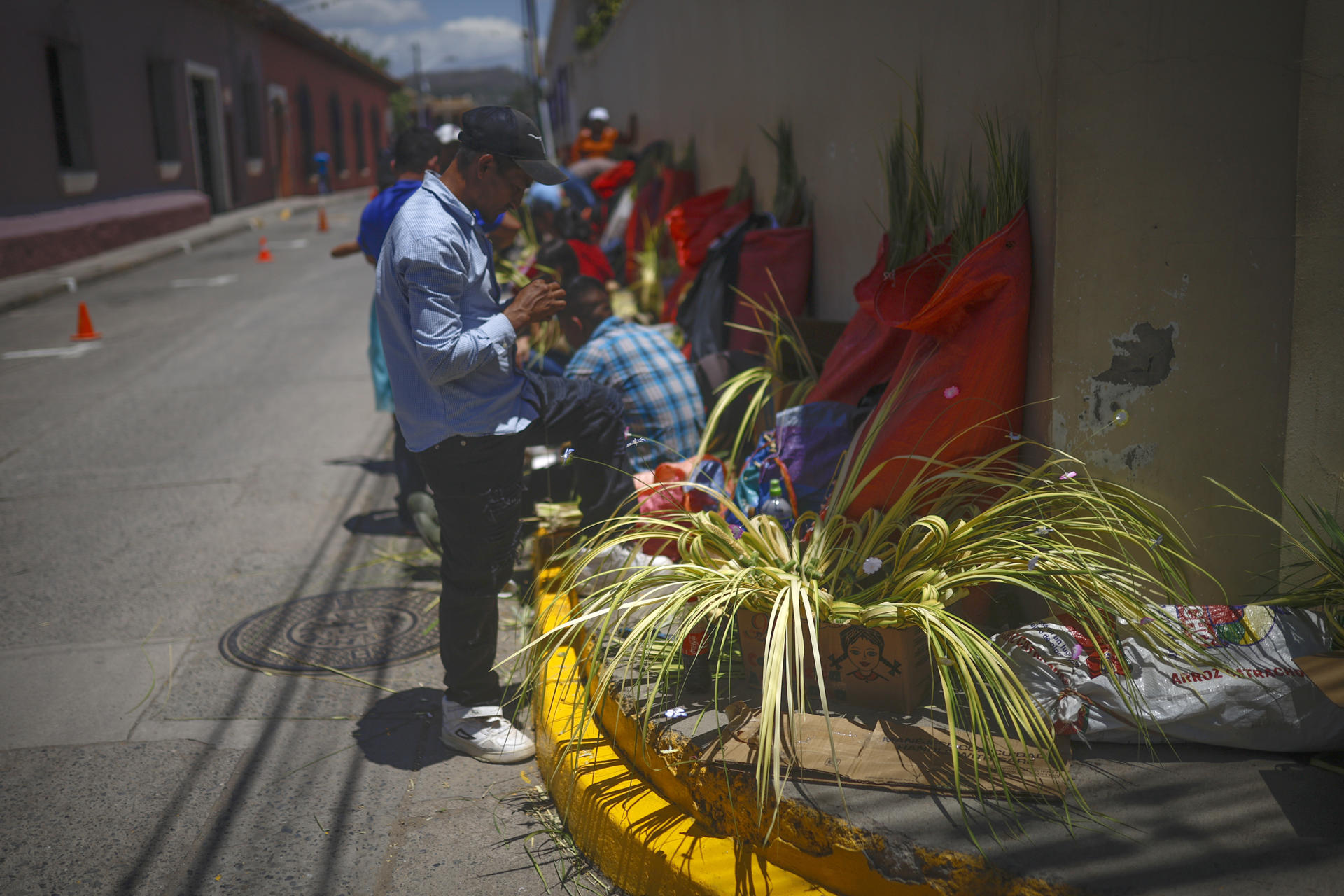 Un campesino vende ramos de palma en la víspera del Domingo de Ramos, que marca el inicio de la Semana Santa este viernes, en la entrada de la Catedral de la Inmaculada Concepción en Comayagüa (Honduras). EFE/ Bienvenido Velasco