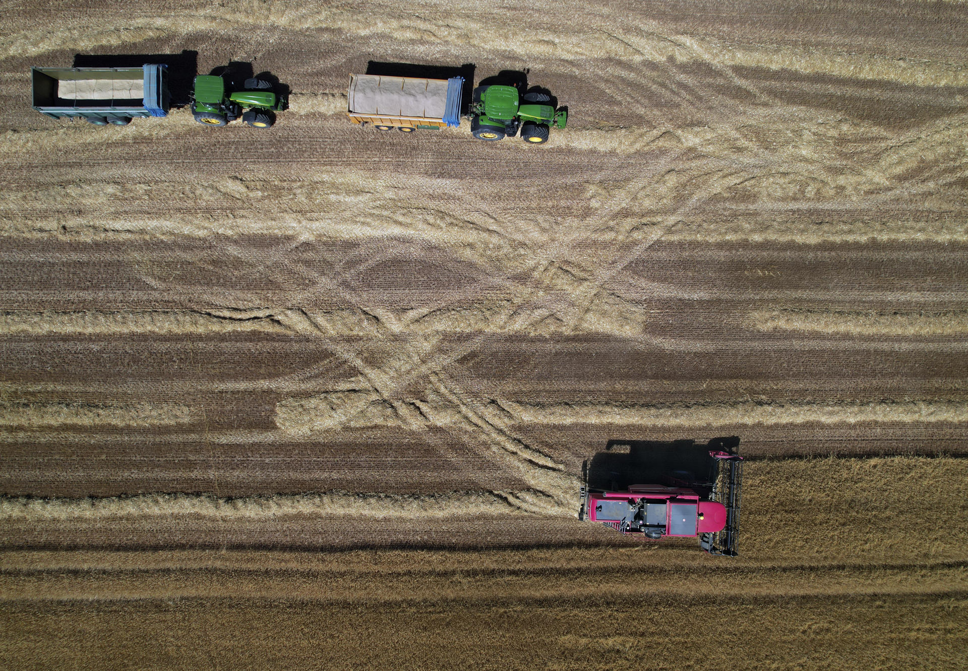 Imagen de archivo tomada desde un dron de una máquina cosechadora mientras recoge cereal en un campo. EFE/ Jesús Diges