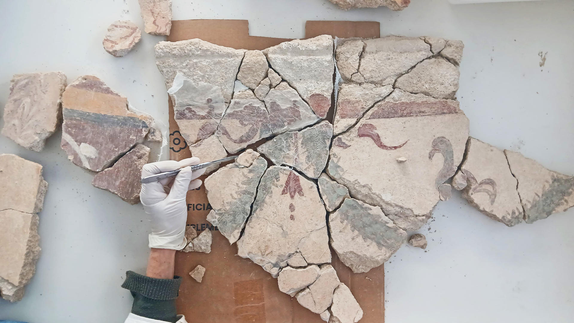 Las excavaciones arqueológicas en la villa romana de Barberes Sur, en La Vila Joiosa (Alicante), han sacado a la luz más de 4.000 fragmentos de las pinturas que decoraban las estancias señoriales de ese emplazamiento a principios del siglo II d.C., según un comunicado del ayuntamiento. EFE/Prensa del Ayuntamiento de Villajoyosa   //SOLO USO EDITORIAL/SOLO DISPONIBLE PARA ILUSTRAR LA NOTICIA QUE ACOMPAÑA (CRÉDITO OBLIGATORIO)