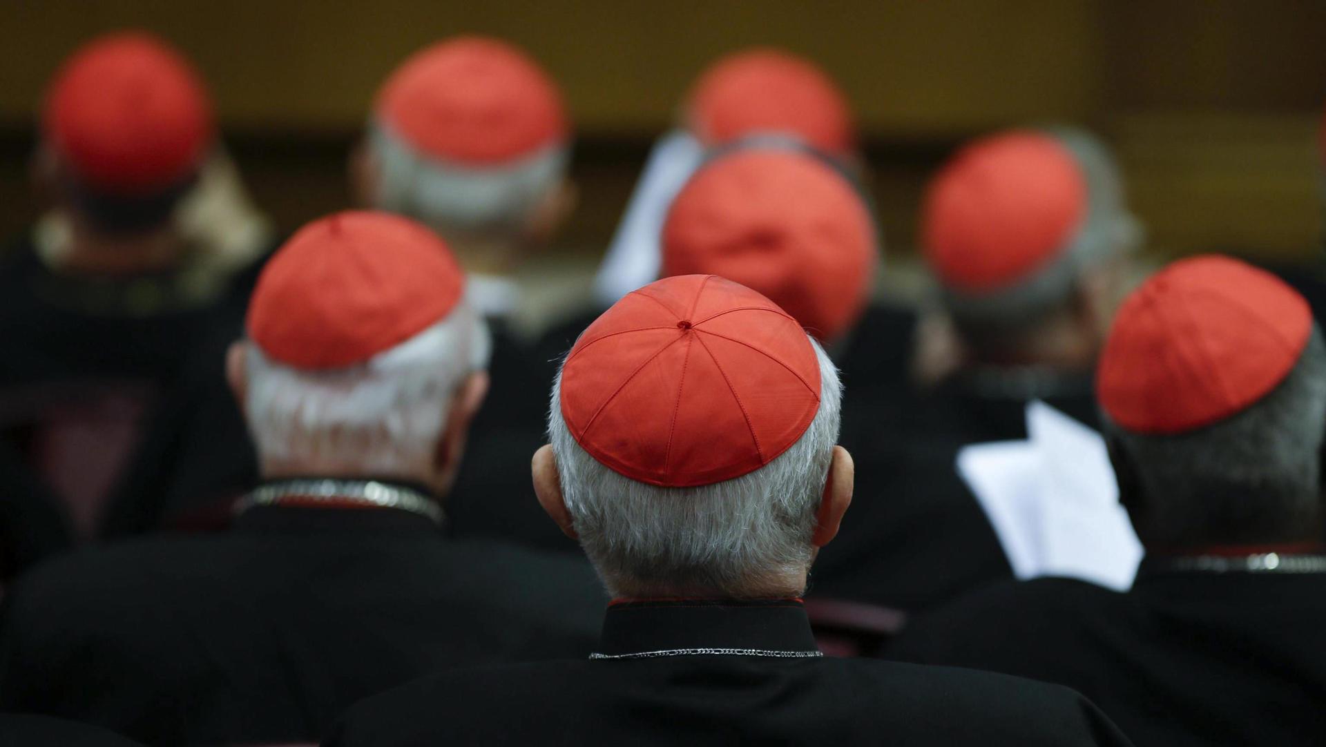 Imagen de archivo de cardenales durante un consistorio presidido por el papa Francisco. EFE/Max Rossi / Pool